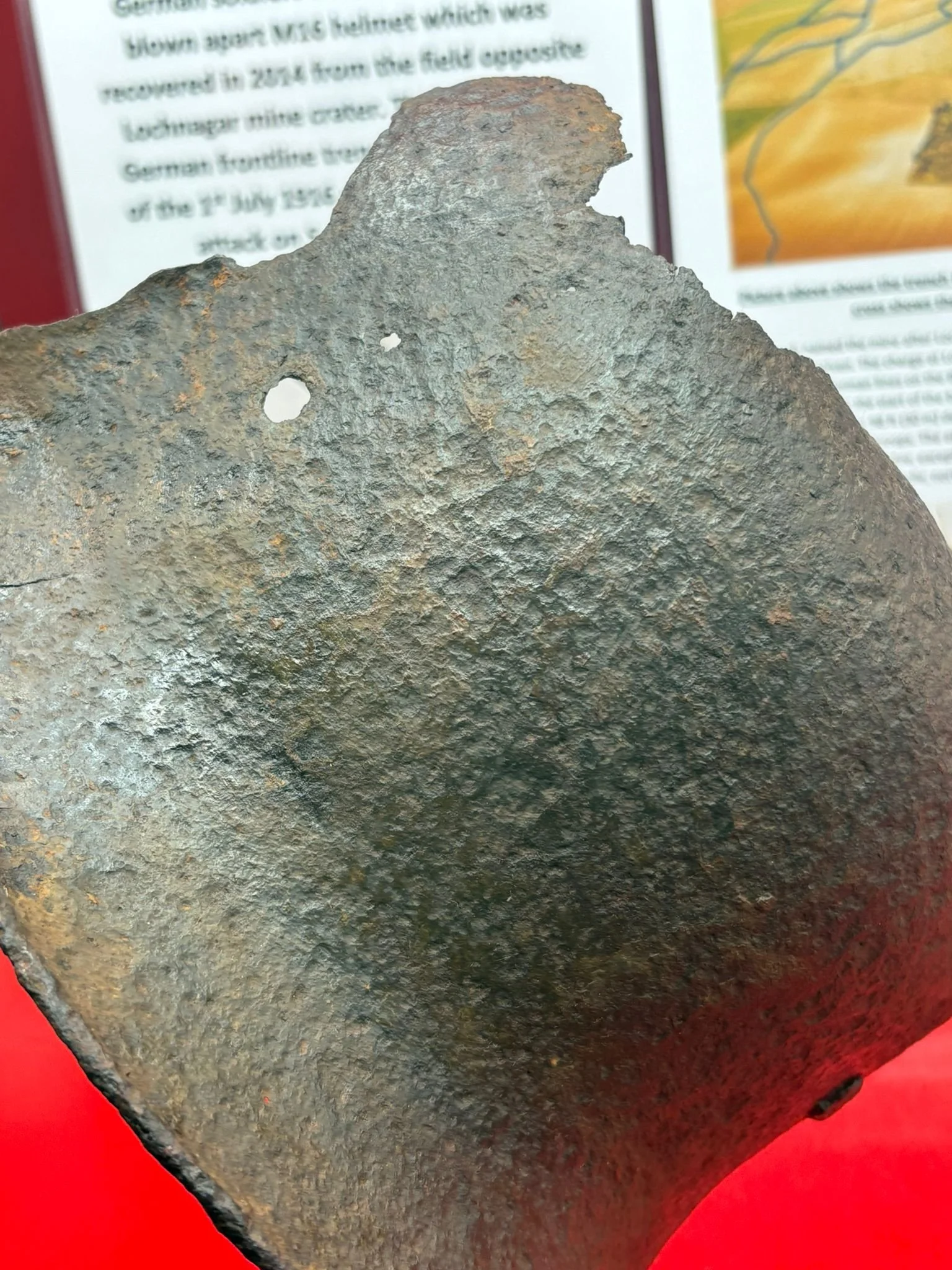 WhatsApp Image 2025-11-12 at 15.04.07 (2).jpeg