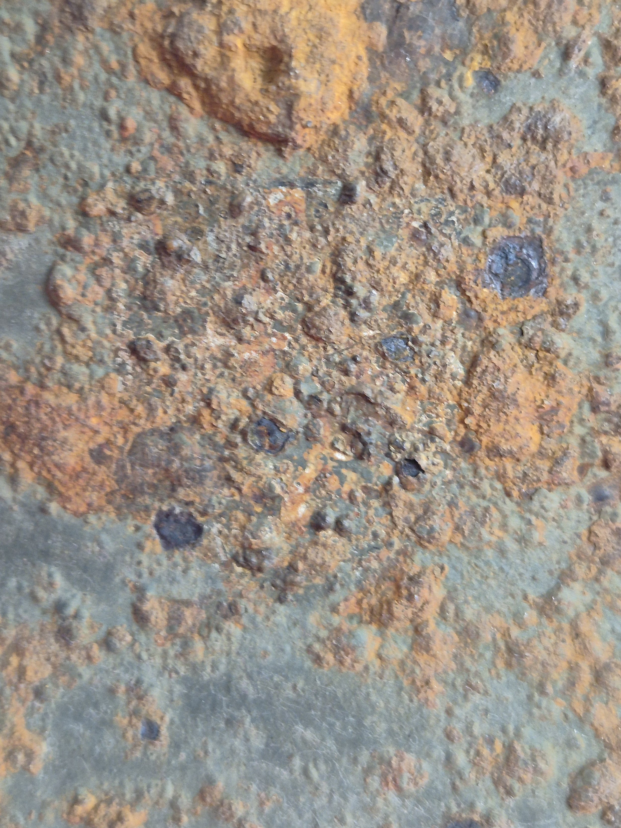 20261004_141156.jpg