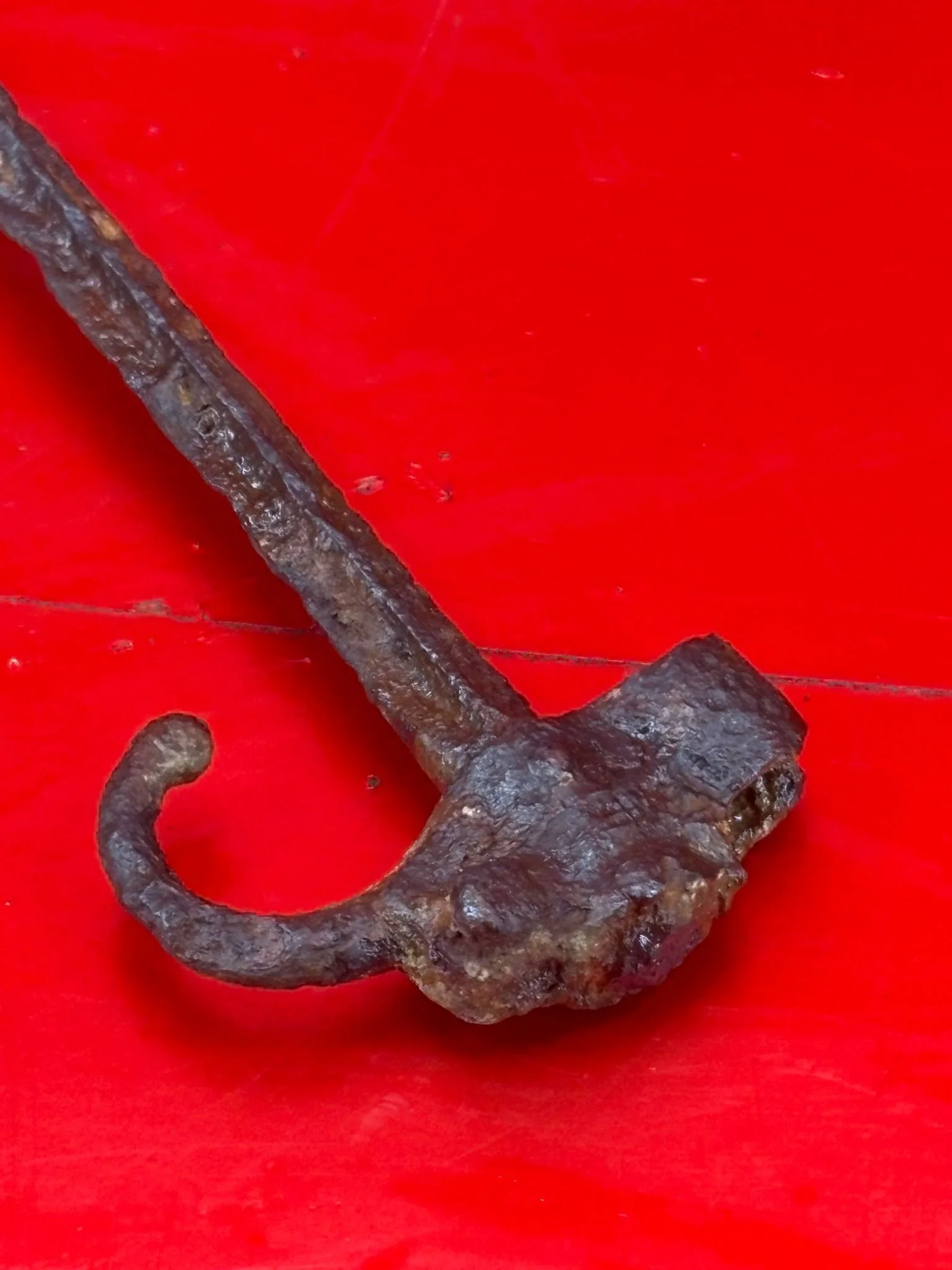 WhatsApp Image 2025-11-16 at 16.04.35.jpeg