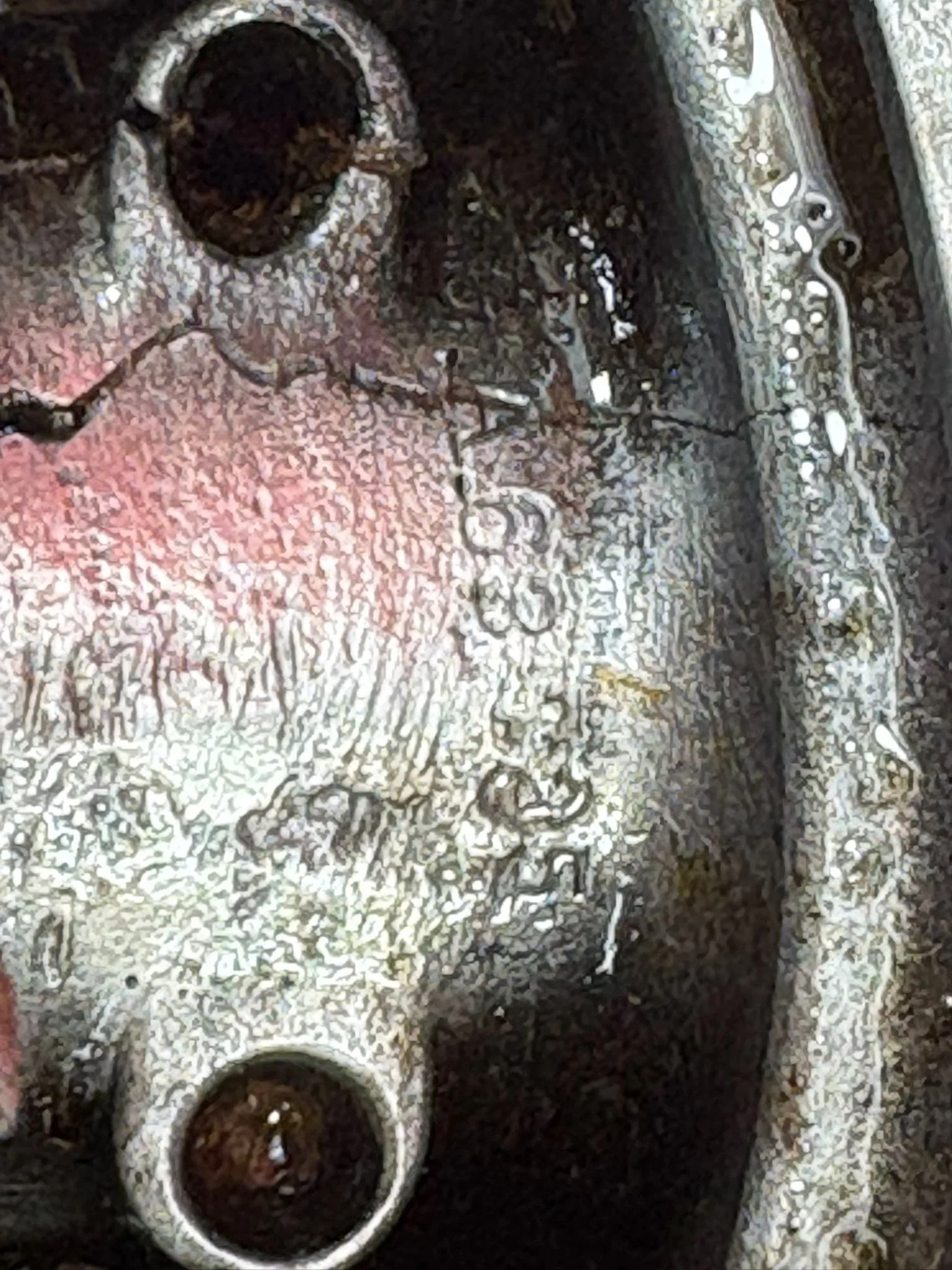 WhatsApp Image 2026-02-10 at 11.55.18 (5).jpeg