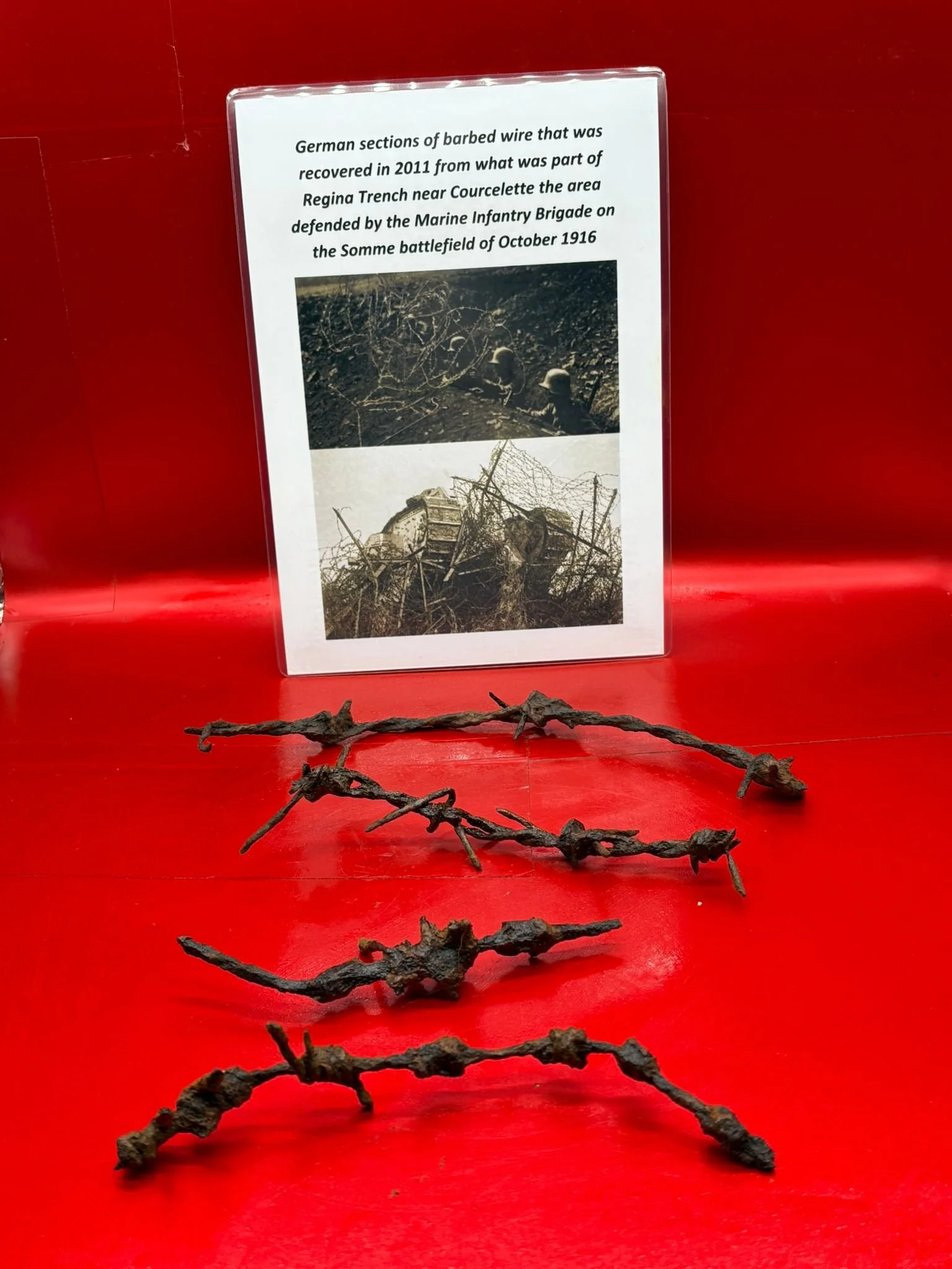 WhatsApp Image 2025-11-12 at 13.16.47.jpeg