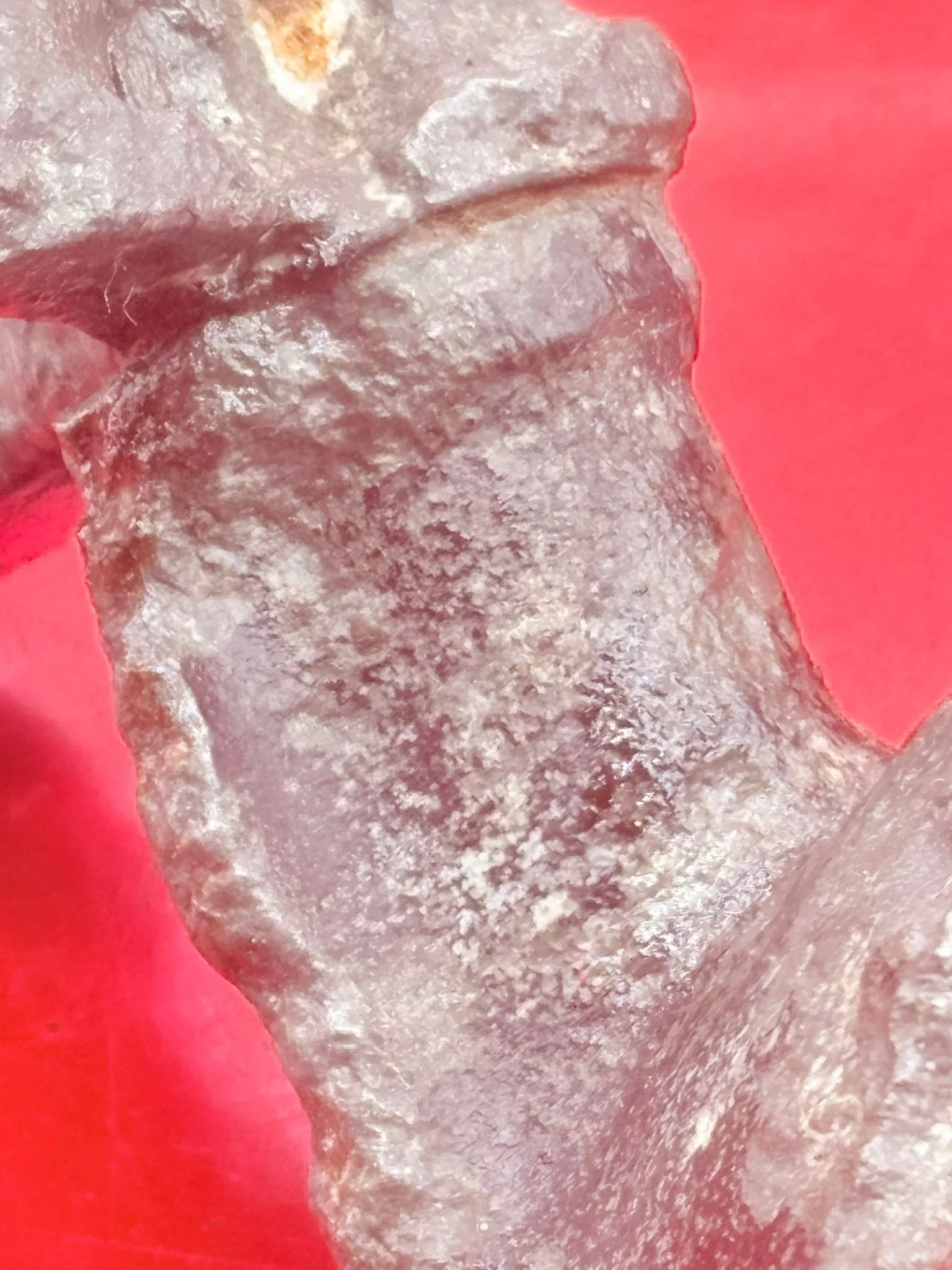 WhatsApp Image 2025-12-08 at 16.42.02 (5).jpeg