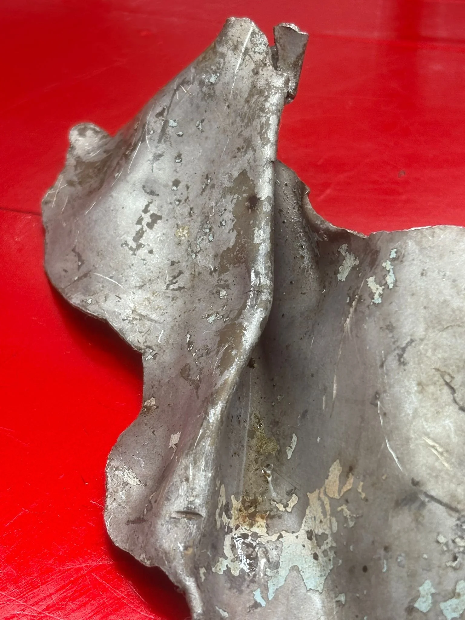 WhatsApp Image 2026-02-13 at 16.24.50 (2).jpeg