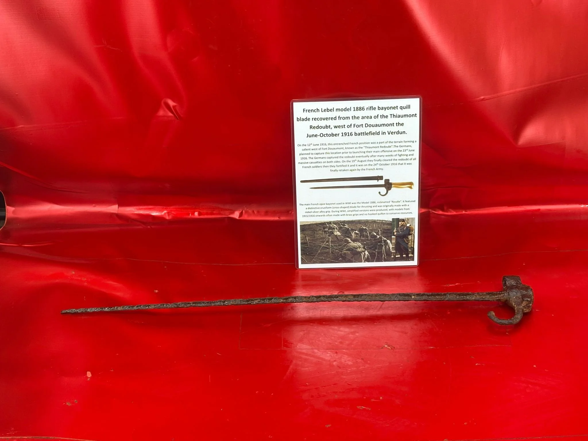 WhatsApp Image 2025-11-16 at 16.04.34.jpeg