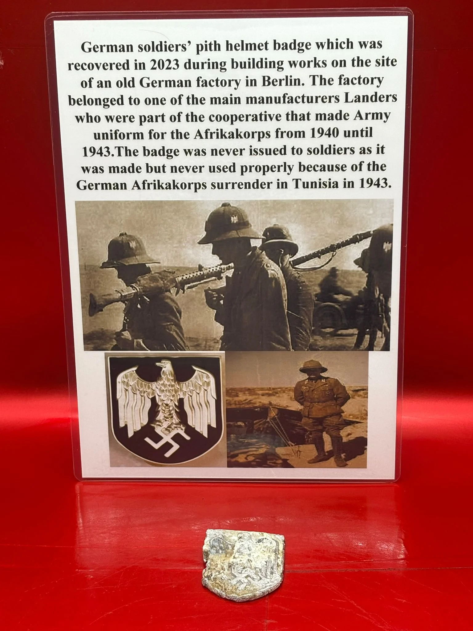 WhatsApp Image 2025-11-20 at 19.08.28.jpeg