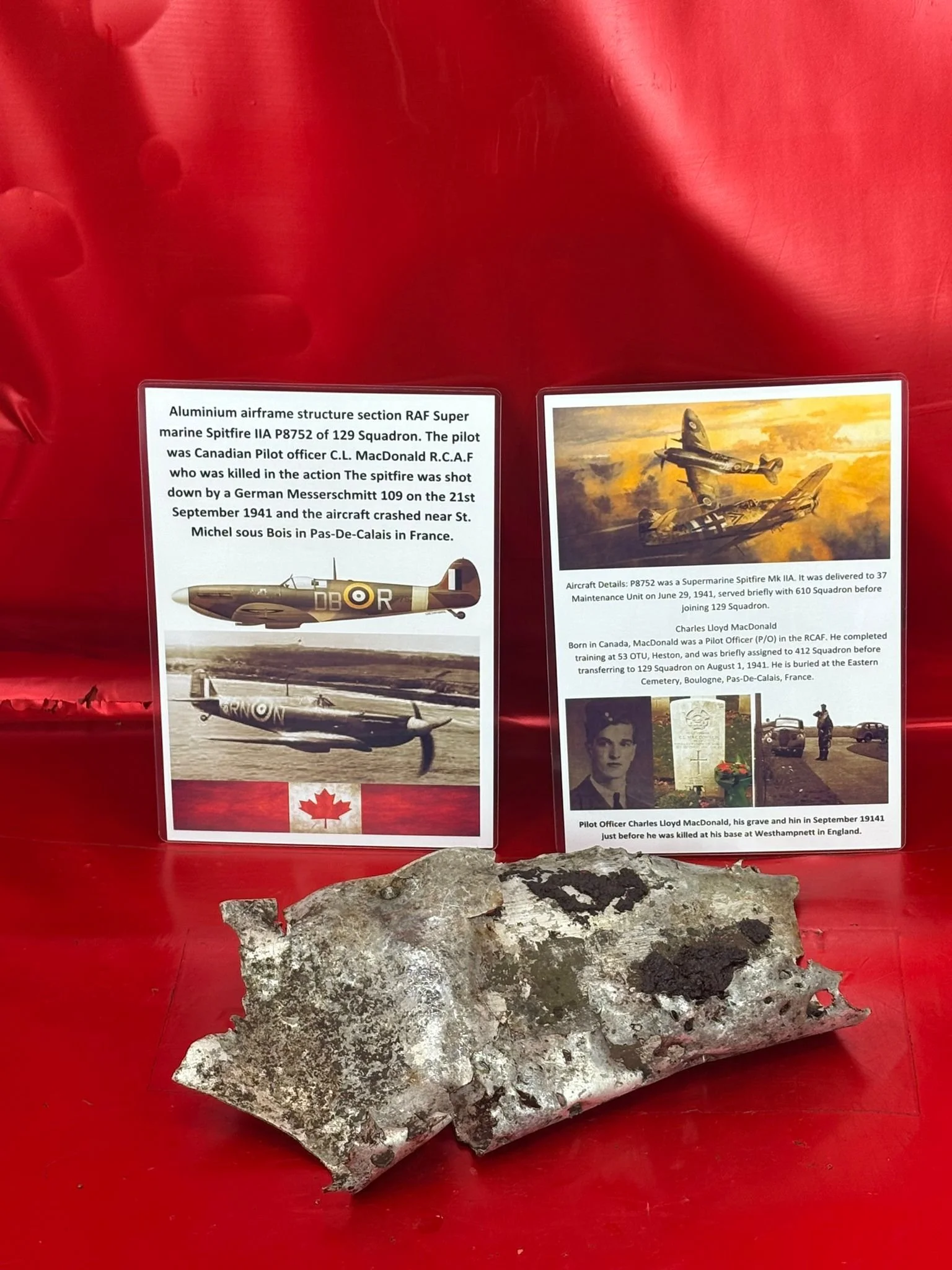 WhatsApp Image 2026-02-10 at 11.58.08 (1).jpeg