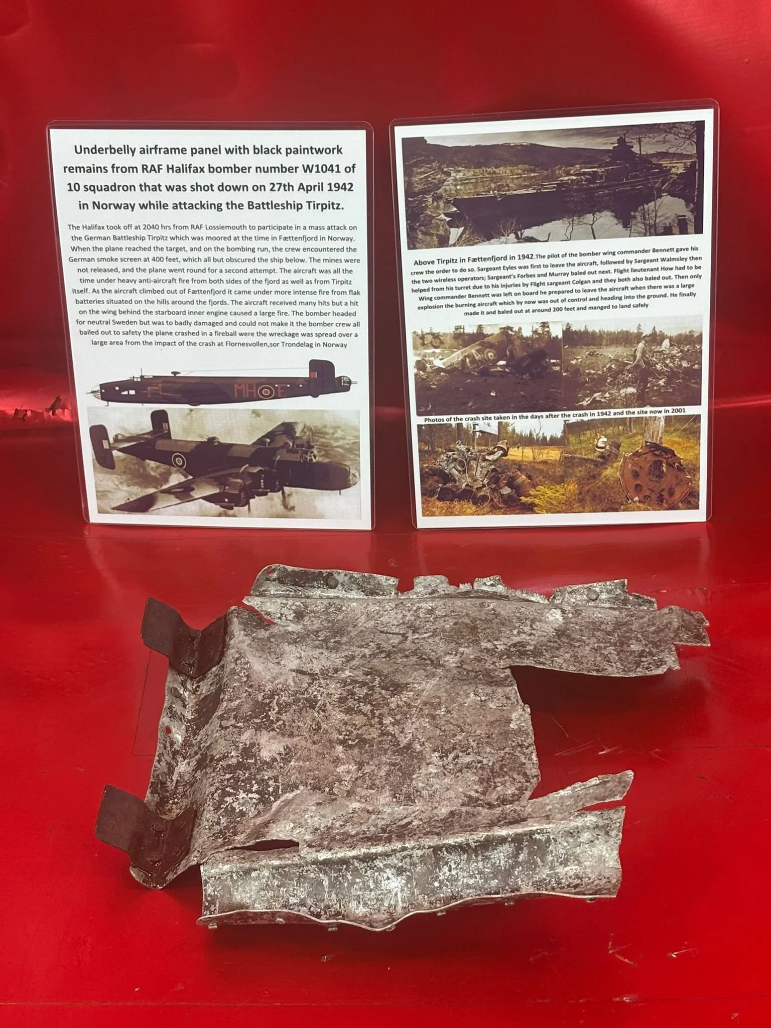 WhatsApp Image 2026-02-13 at 16.26.18.jpeg