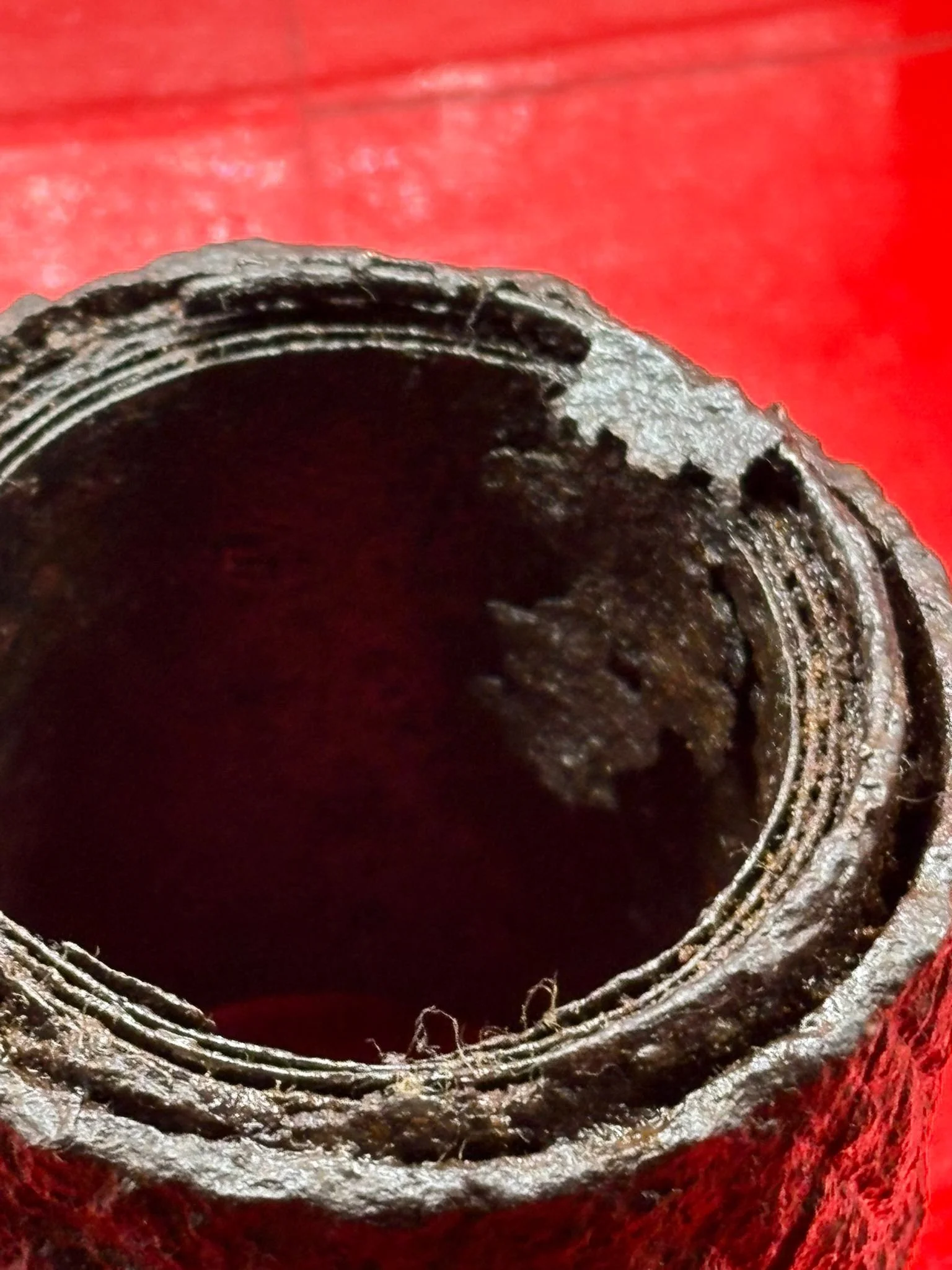 WhatsApp Image 2025-10-22 at 17.18.06.jpeg