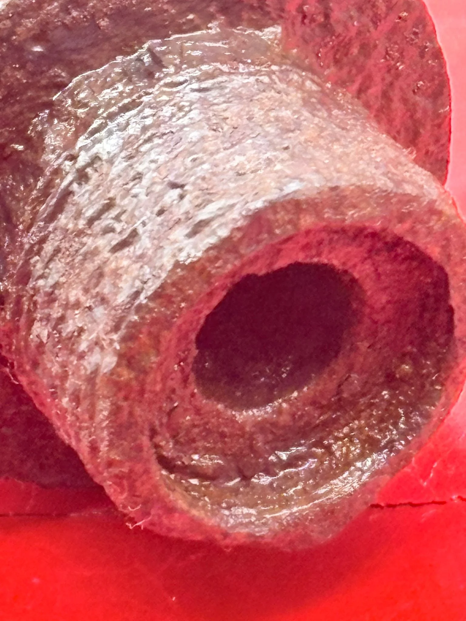 WhatsApp Image 2025-12-08 at 15.32.00 (5).jpeg