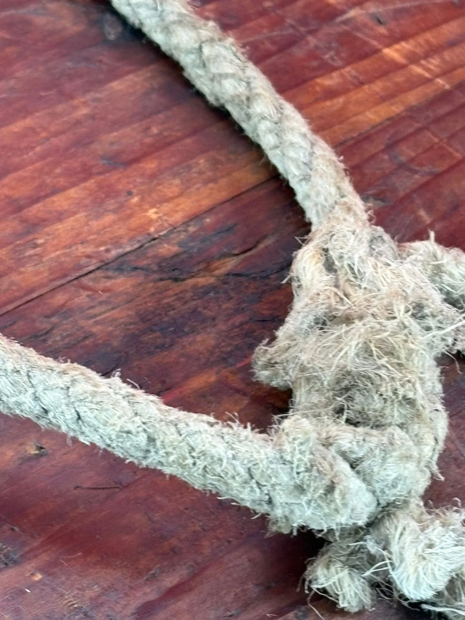 WhatsApp Image 2025-11-18 at 11.02.40 (4).jpeg