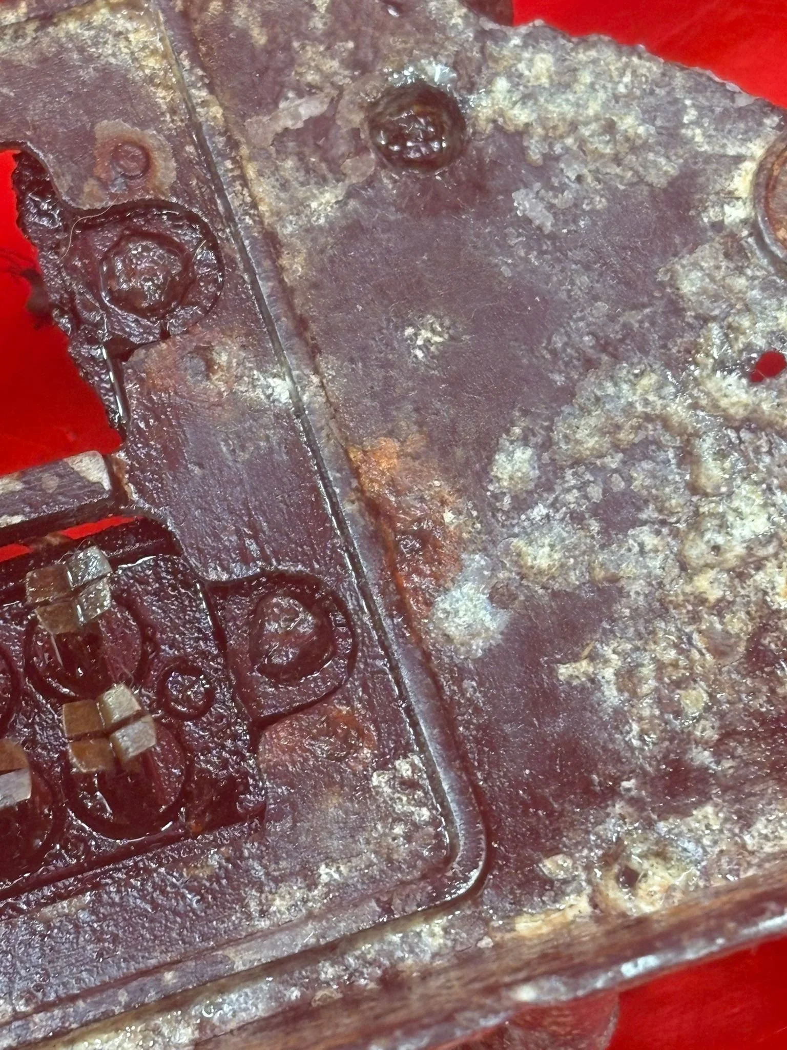 WhatsApp Image 2026-02-13 at 16.27.09.jpeg