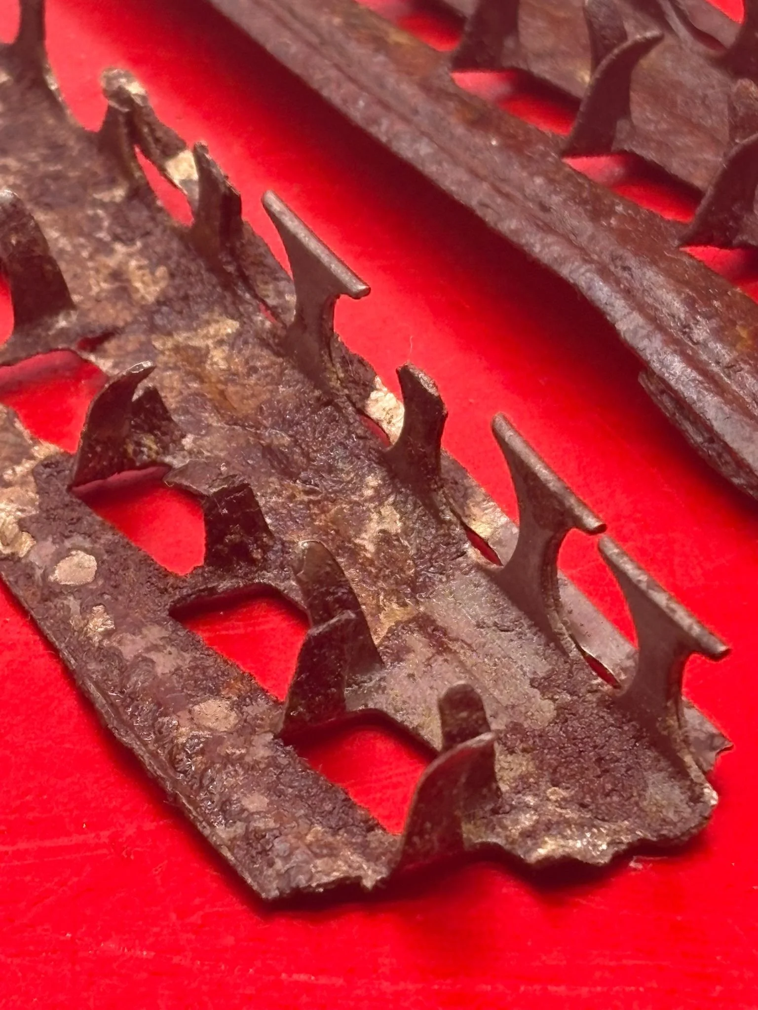 WhatsApp Image 2025-11-11 at 10.23.28 (1).jpeg