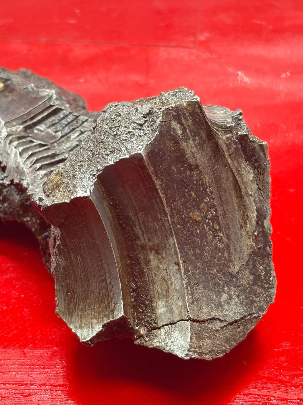 WhatsApp Image 2025-12-09 at 14.14.08 (4).jpeg