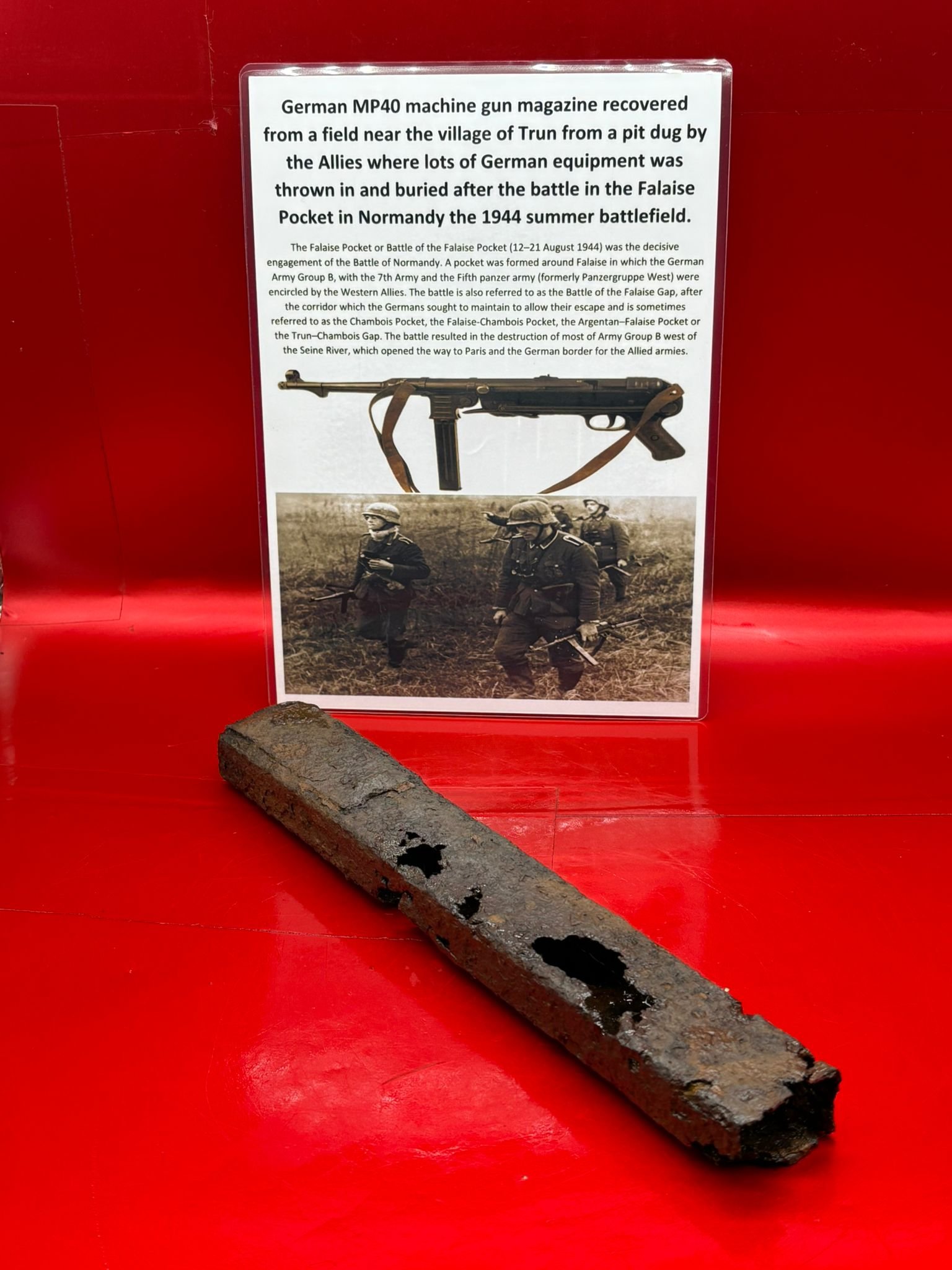 WhatsApp Image 2025-11-24 at 12.48.58.jpeg