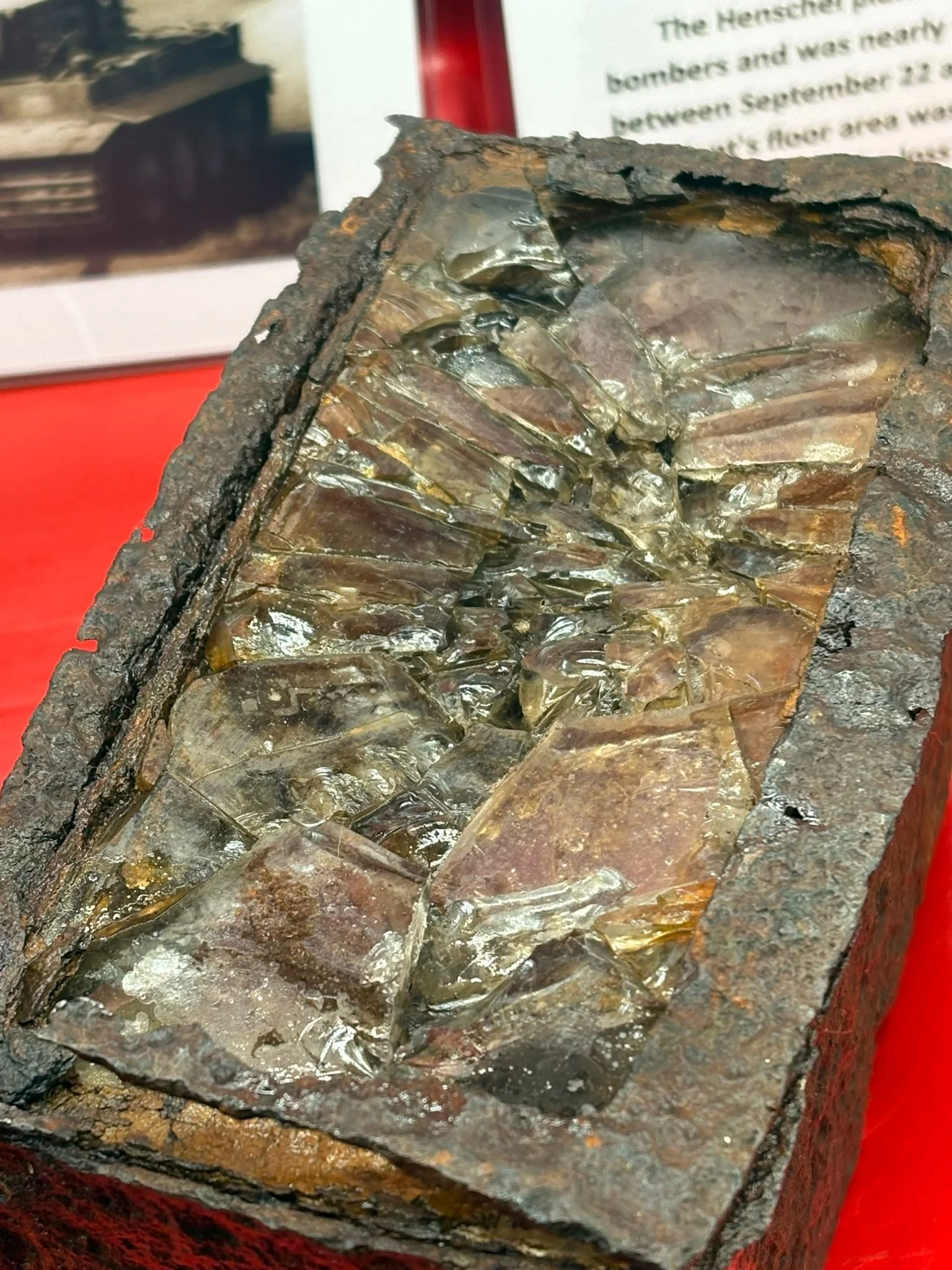 WhatsApp Image 2025-11-24 at 17.04.47 (2).jpeg