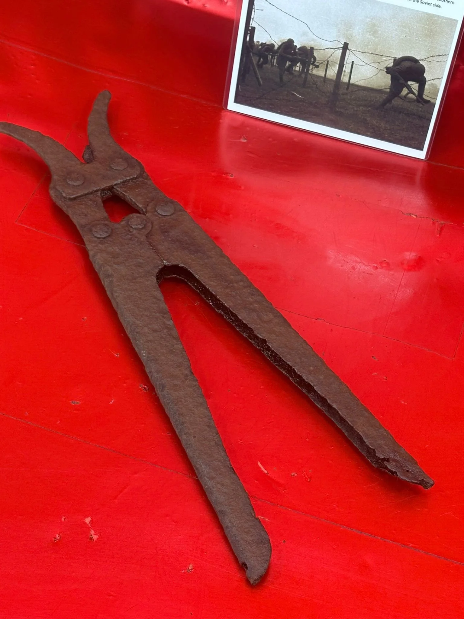 WhatsApp Image 2025-11-18 at 15.16.09 (1).jpeg