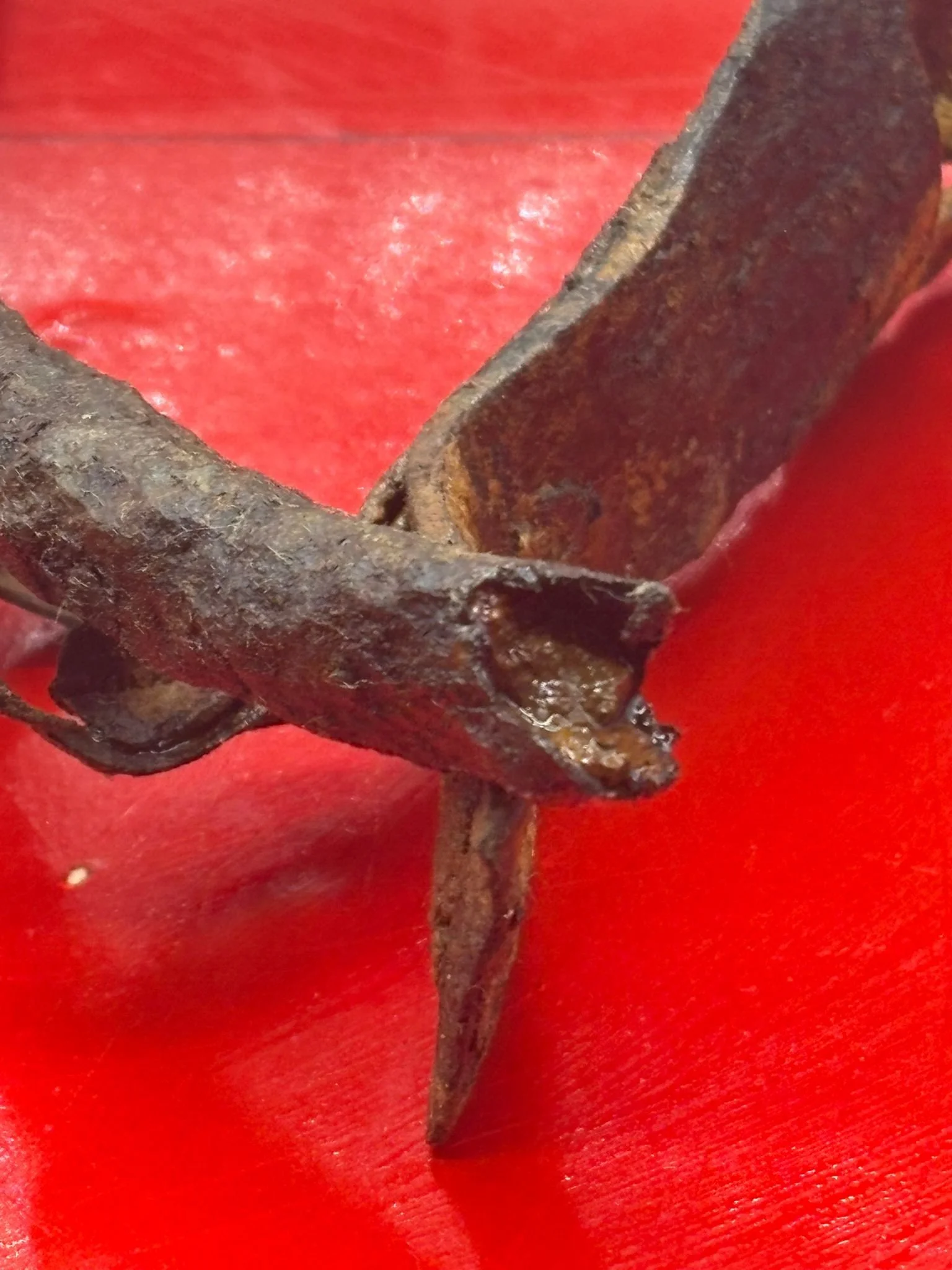 WhatsApp Image 2026-03-12 at 14.20.36.jpeg