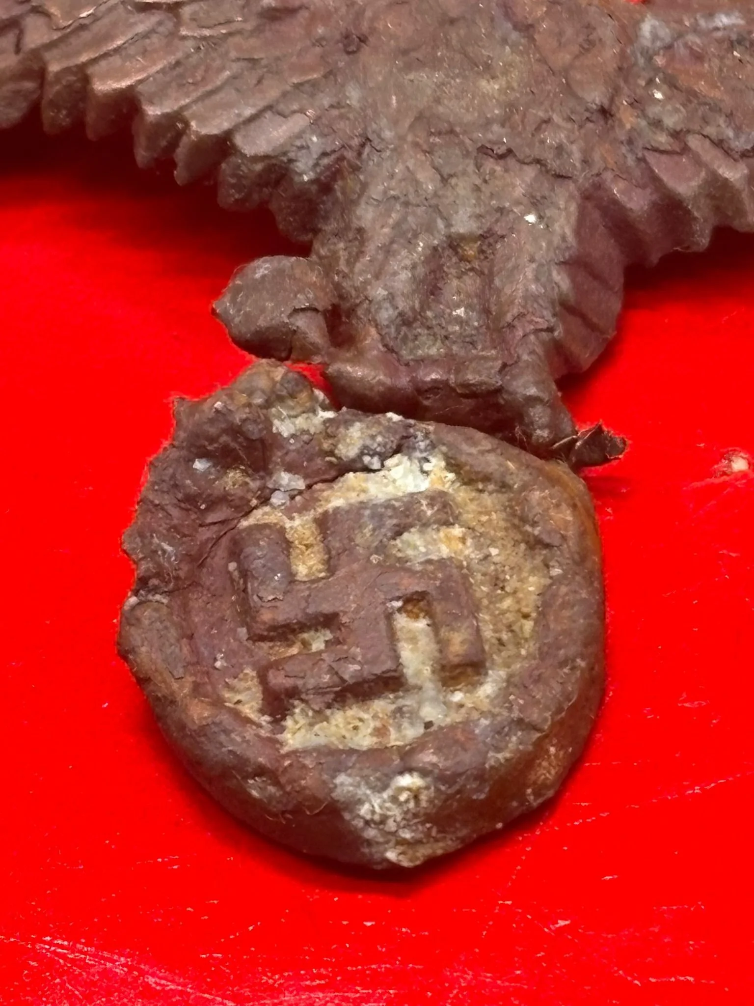 WhatsApp Image 2025-11-20 at 19.06.28 (2).jpeg