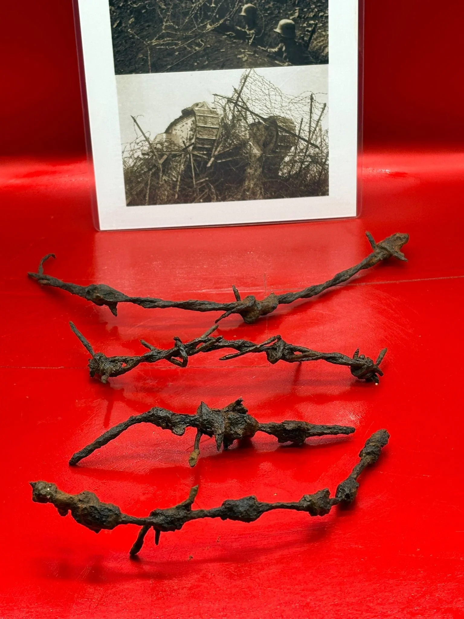 WhatsApp Image 2025-11-12 at 13.16.47 (3).jpeg