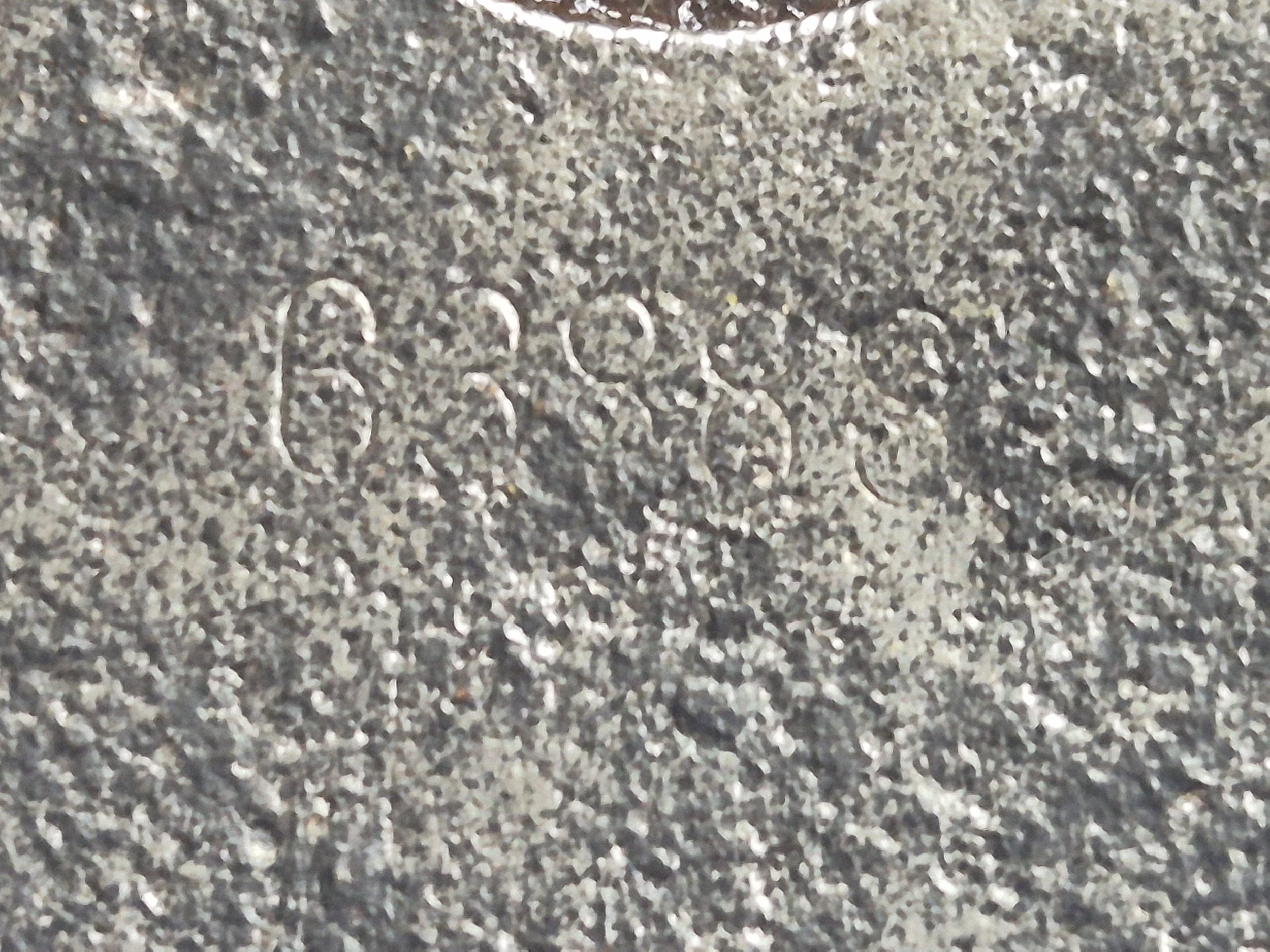48663.jpg