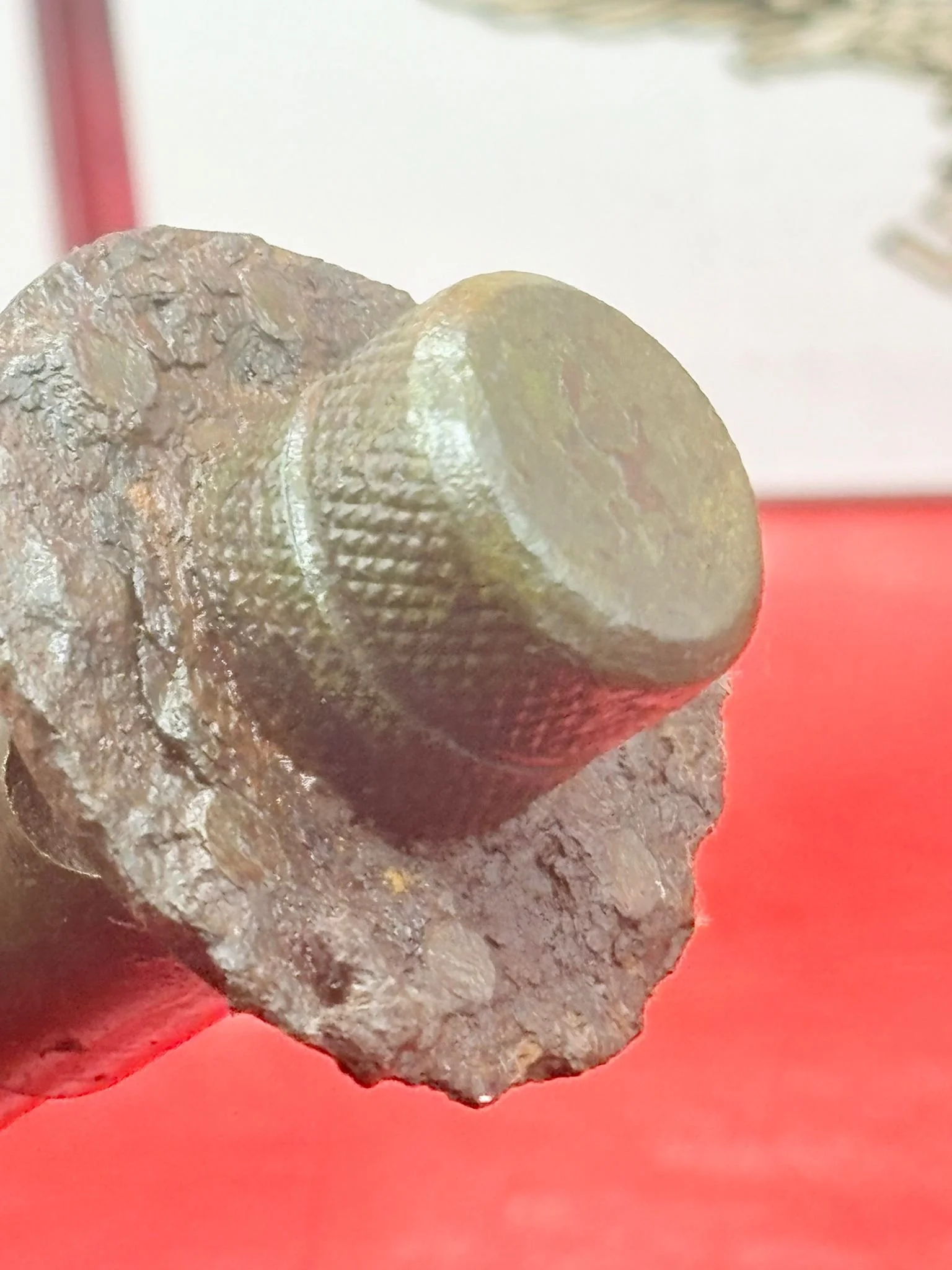 WhatsApp Image 2025-12-08 at 16.44.57 (1).jpeg