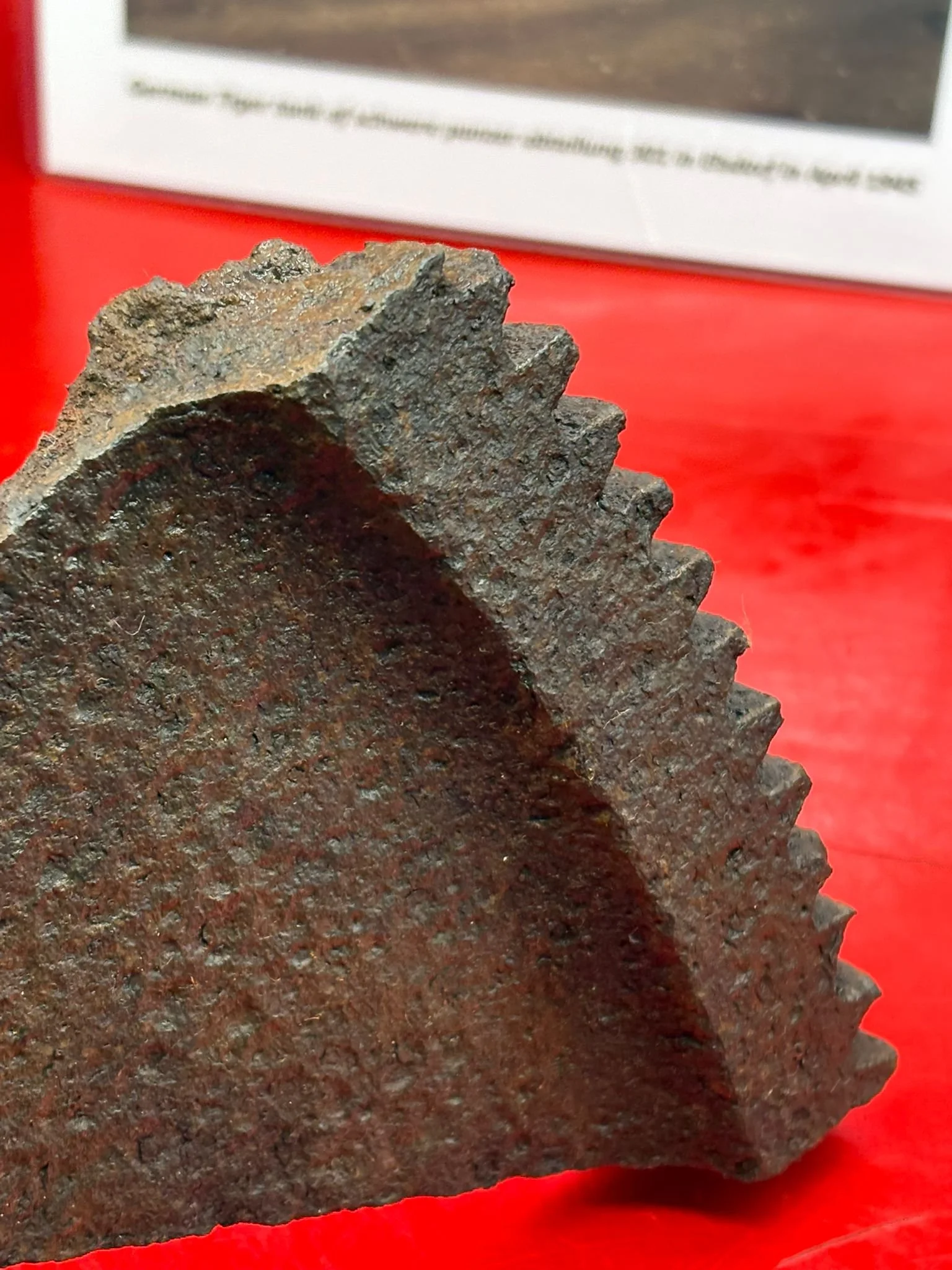 WhatsApp Image 2025-11-24 at 17.39.48 (2).jpeg