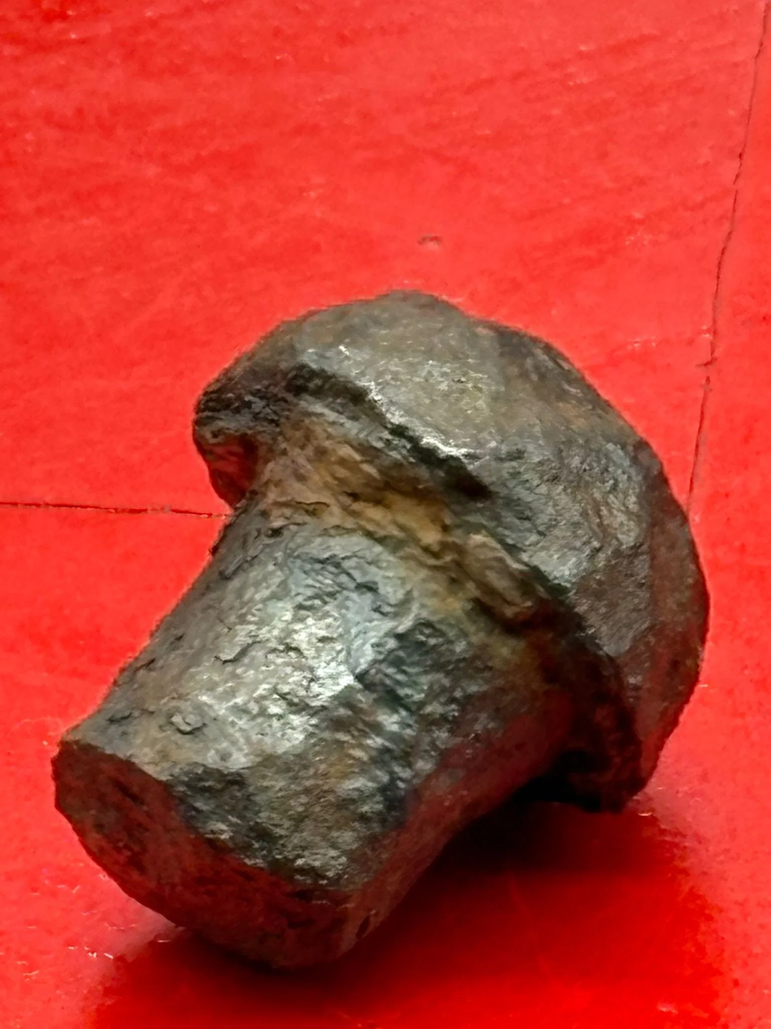 WhatsApp Image 2025-11-12 at 13.12.10 (3).jpeg