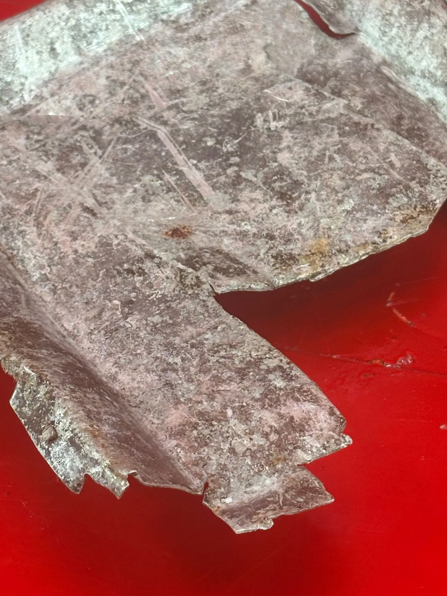 WhatsApp Image 2026-02-13 at 16.26.19 (4).jpeg