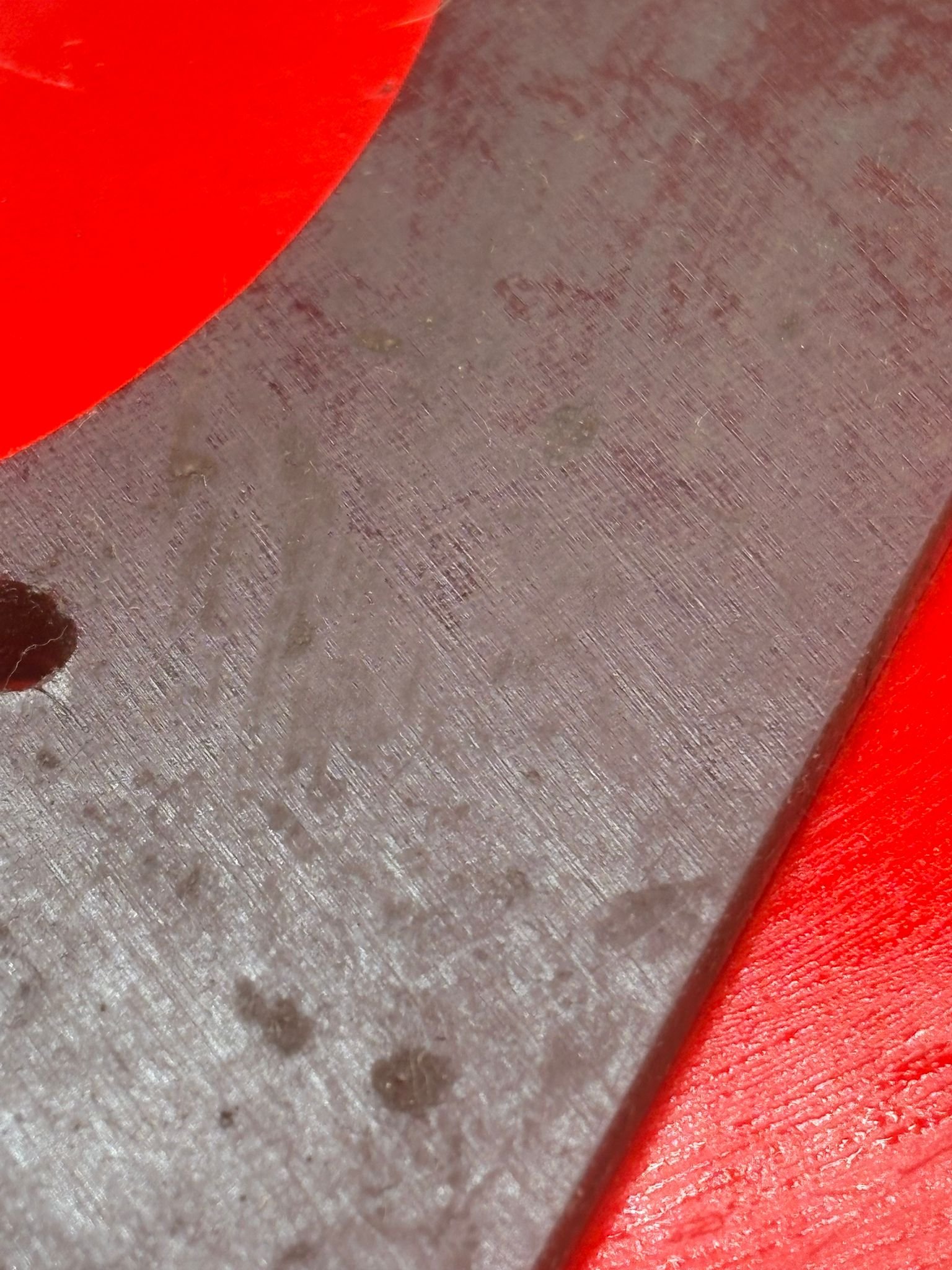 WhatsApp Image 2026-02-13 at 16.20.16 (3).jpeg