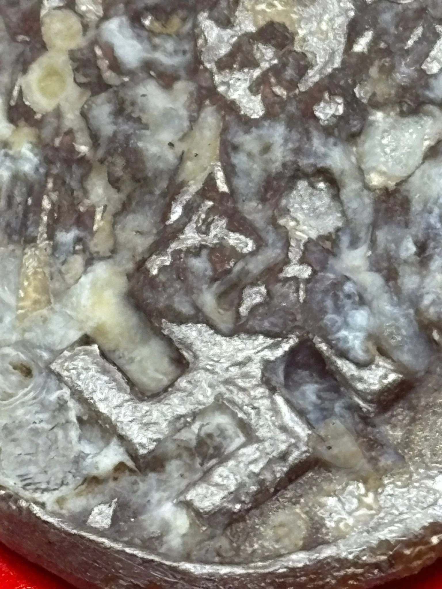 WhatsApp Image 2025-11-20 at 19.07.56 (2).jpeg