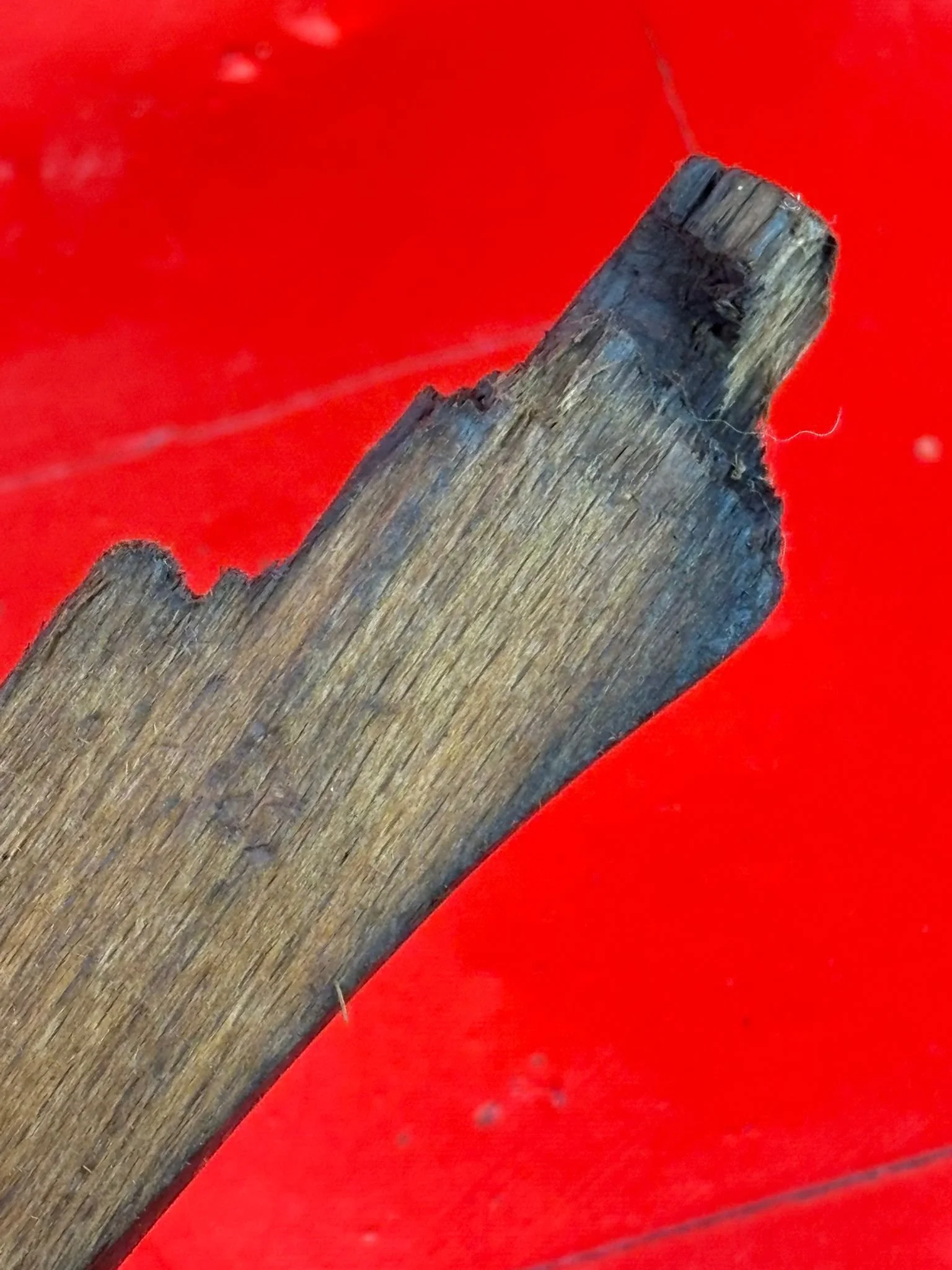 WhatsApp Image 2025-11-16 at 15.05.20 (6).jpeg