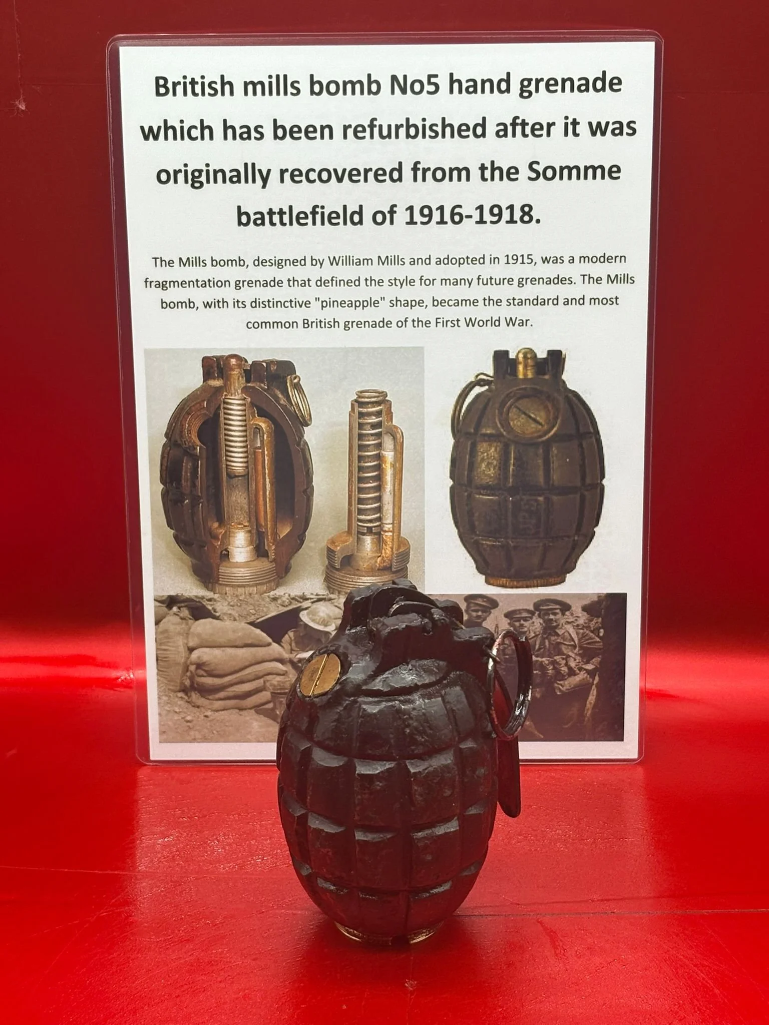 WhatsApp Image 2025-11-16 at 16.08.43.jpeg