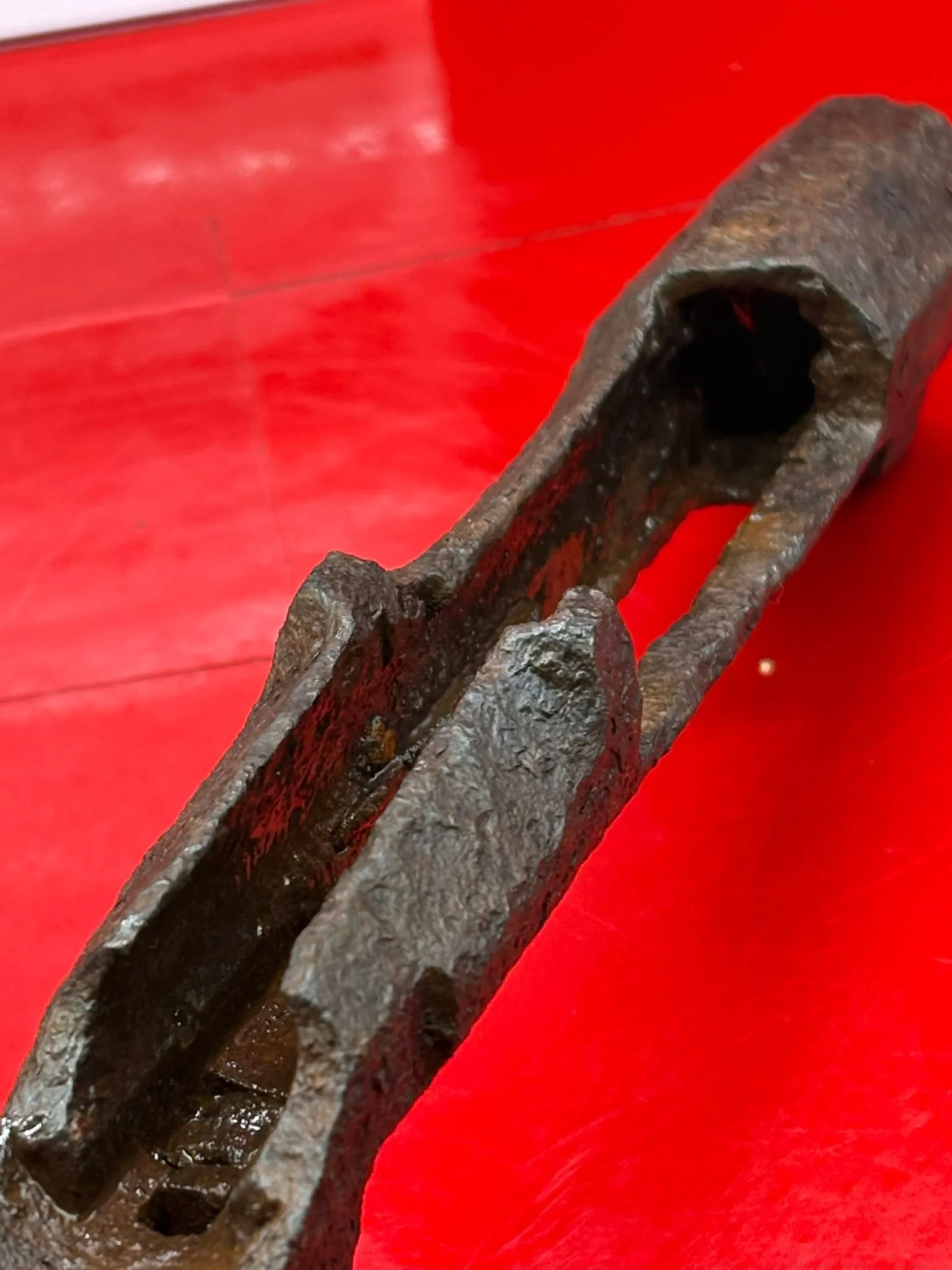 WhatsApp Image 2025-11-24 at 16.48.28 (1).jpeg