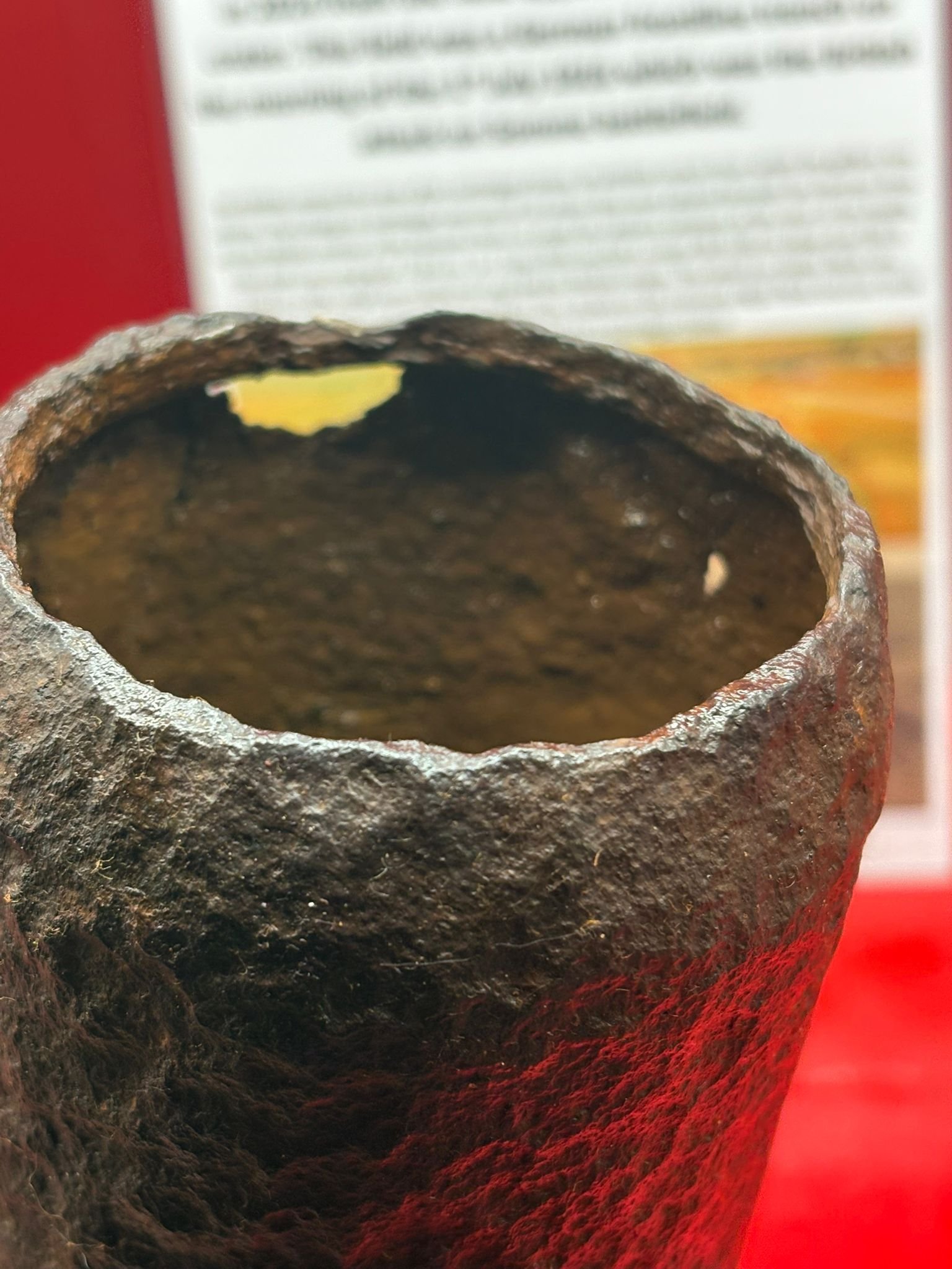 WhatsApp Image 2025-11-12 at 14.59.58 (3).jpeg