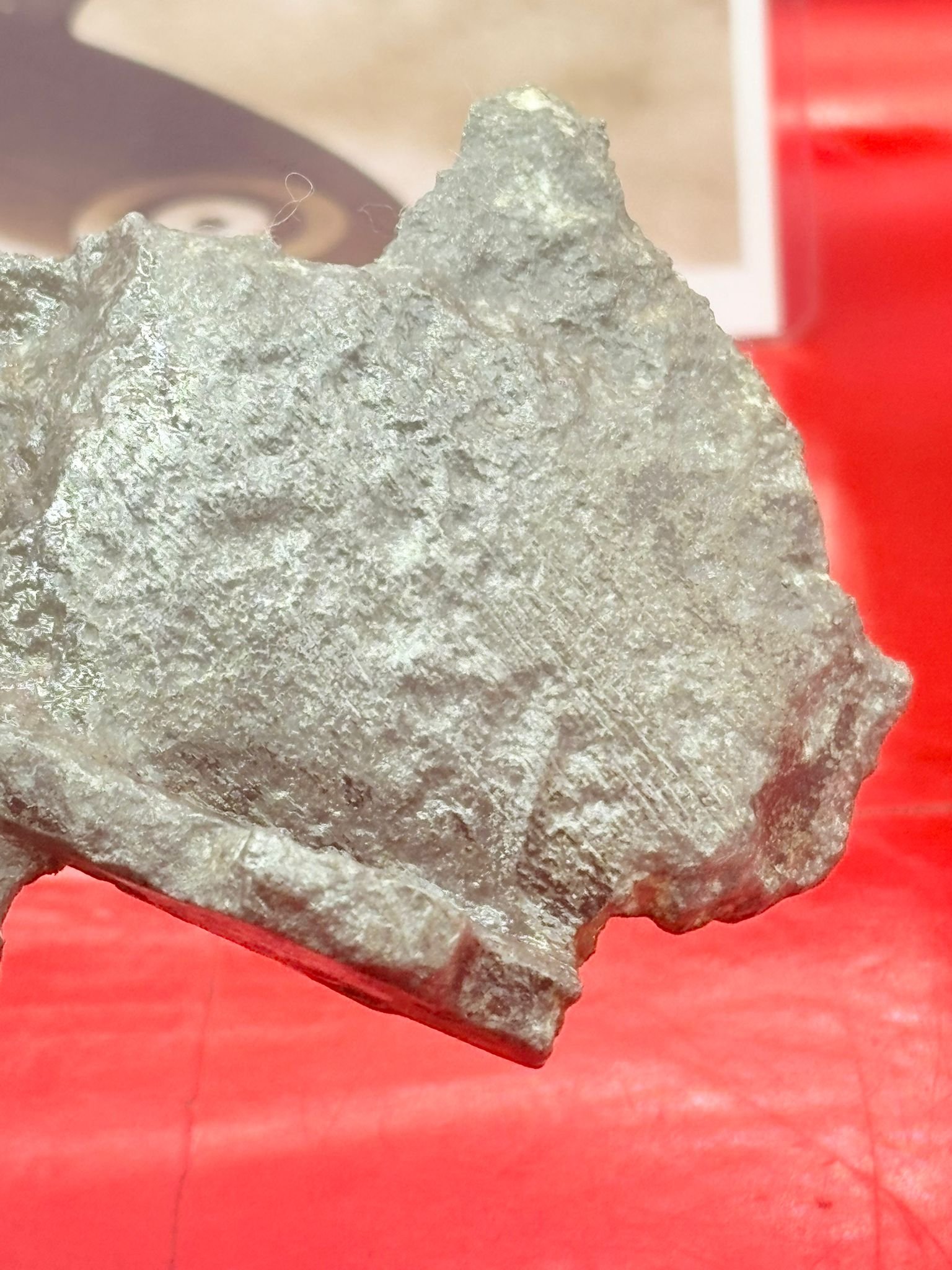 WhatsApp Image 2025-12-08 at 16.42.02 (2).jpeg