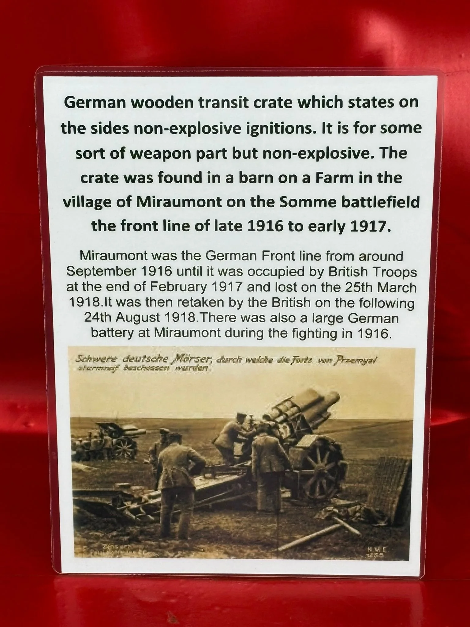 WhatsApp Image 2025-11-18 at 11.02.39.jpeg