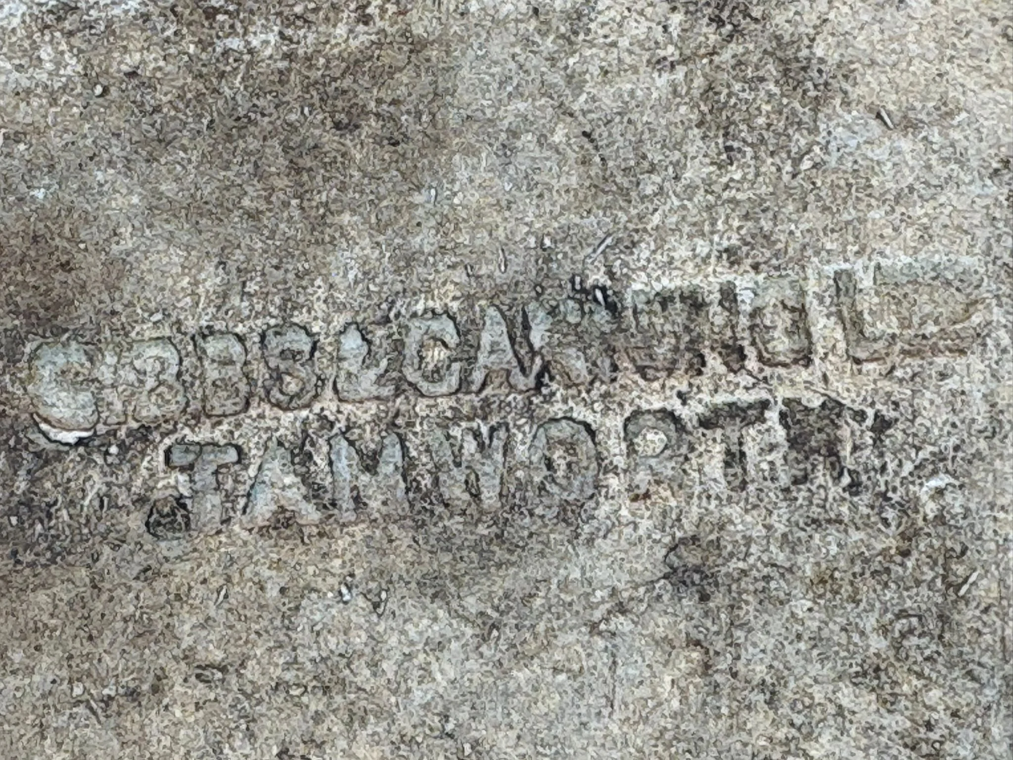 WhatsApp Image 2025-11-16 at 14.19.14.jpeg