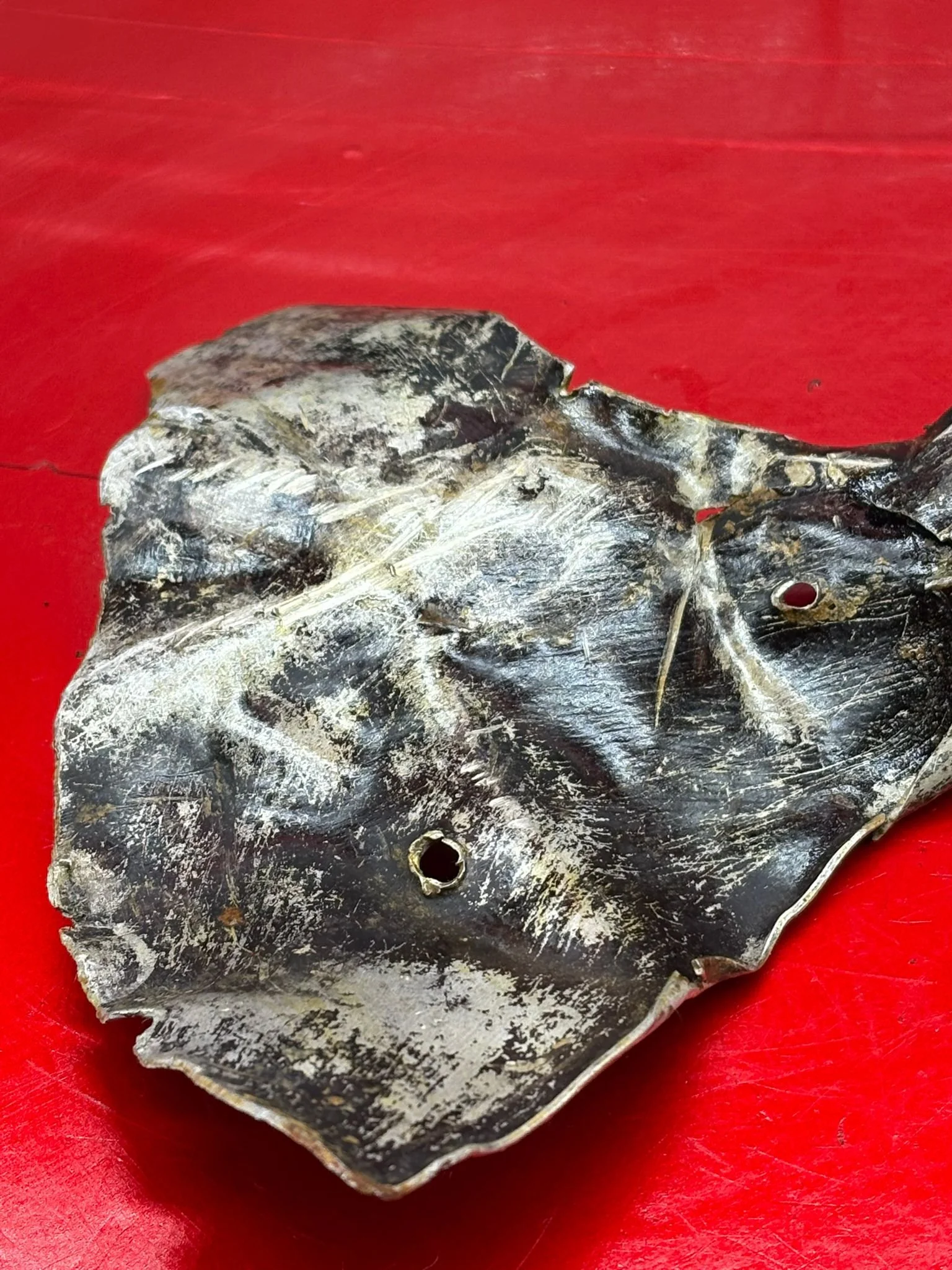 WhatsApp Image 2026-02-10 at 12.05.47 (1).jpeg