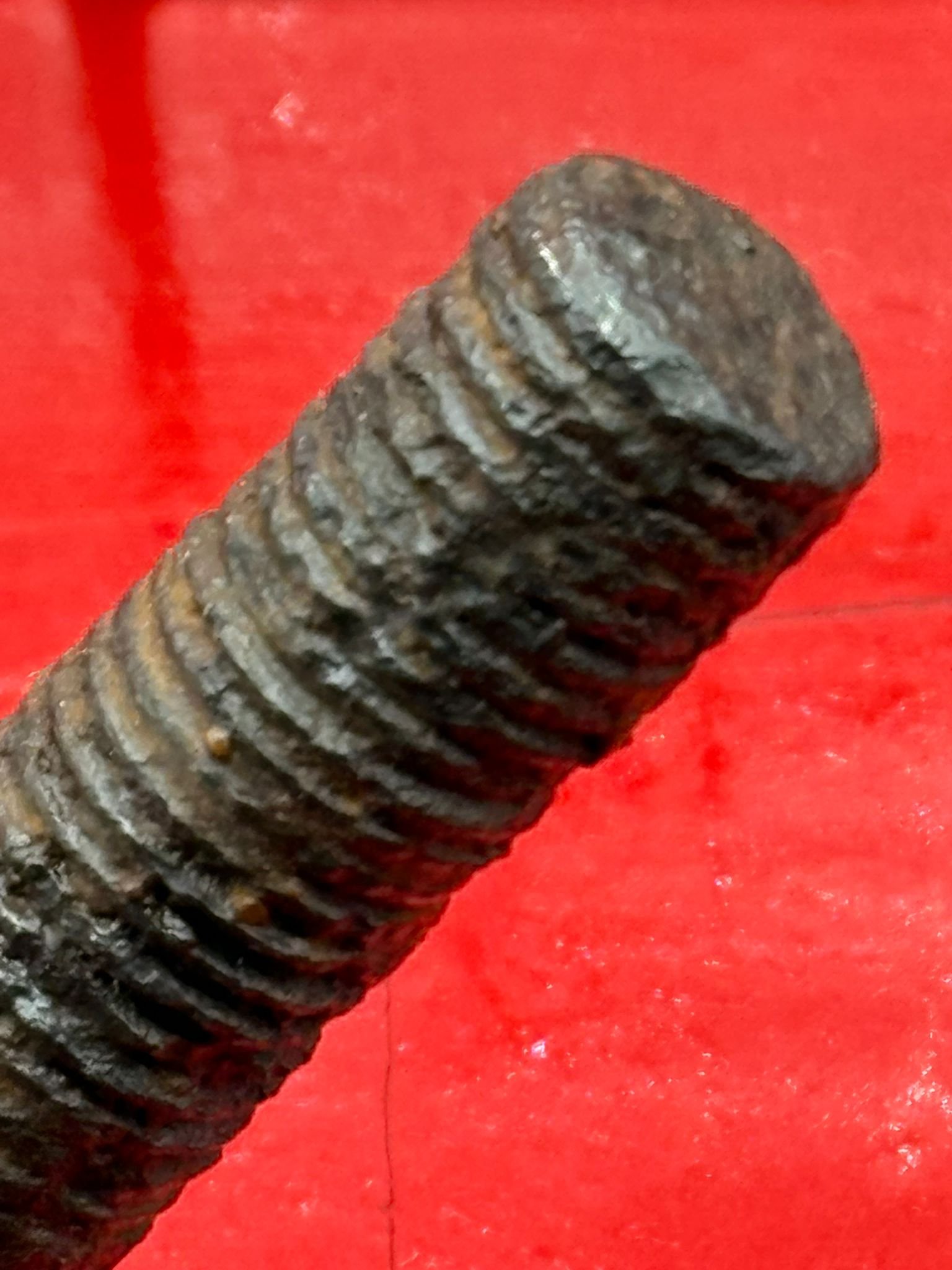 WhatsApp Image 2025-11-12 at 13.11.22 (4).jpeg