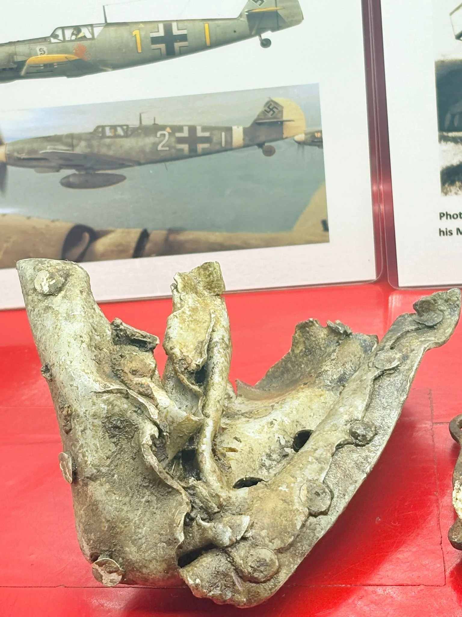 WhatsApp Image 2025-12-08 at 15.42.51 (3).jpeg