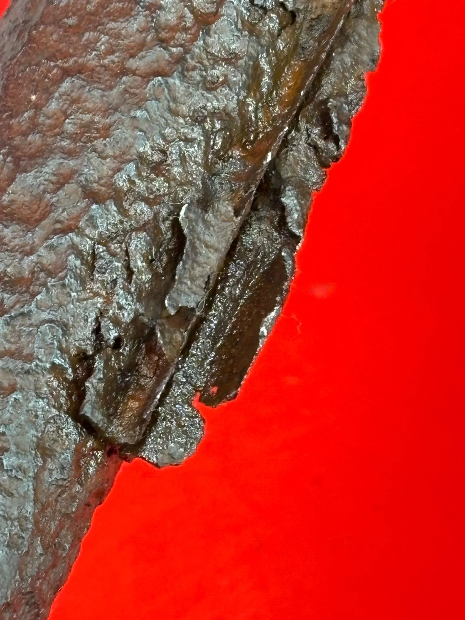 WhatsApp Image 2025-10-27 at 15.31.11 (2).jpeg