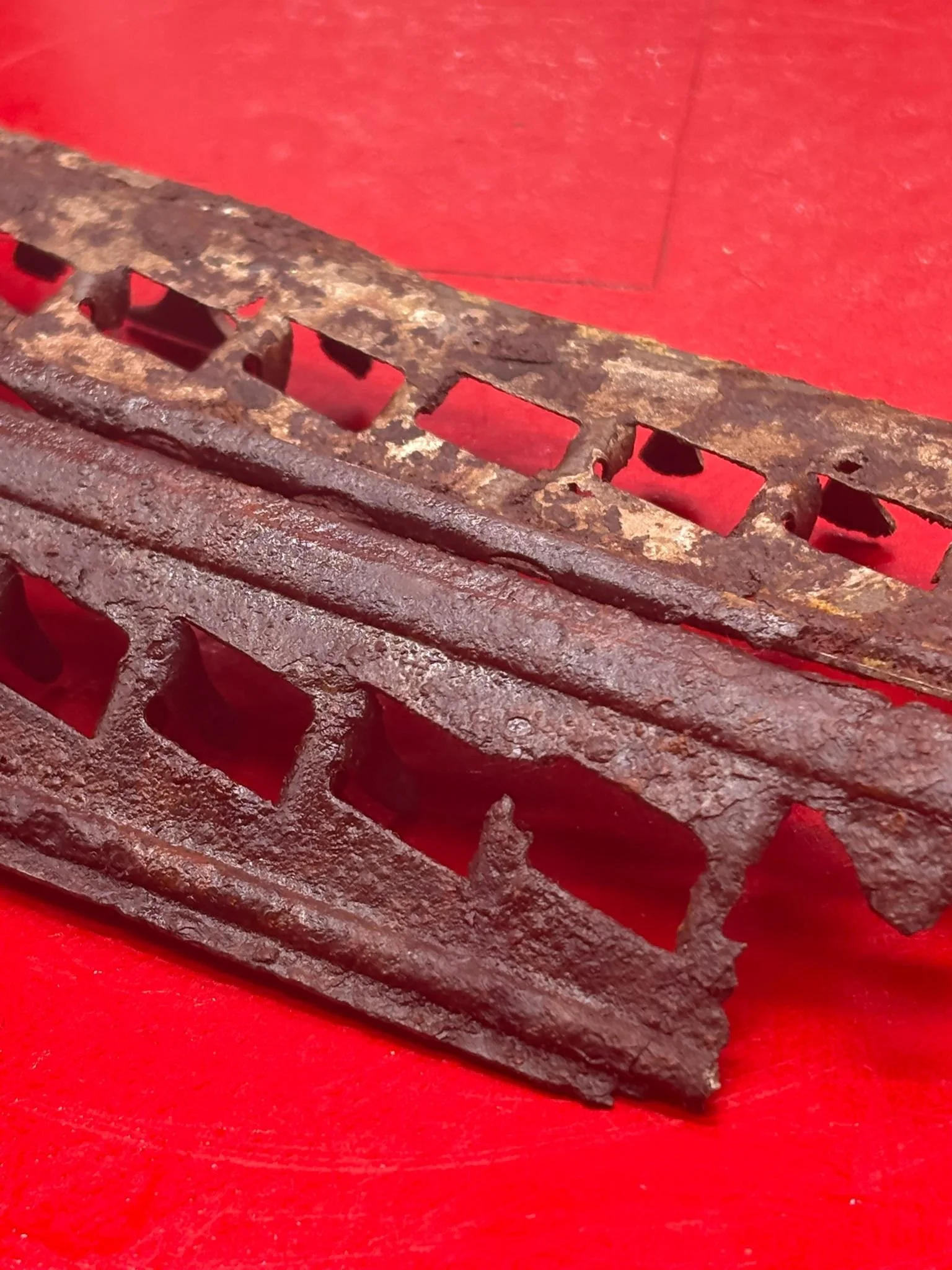 WhatsApp Image 2025-11-11 at 10.23.29.jpeg