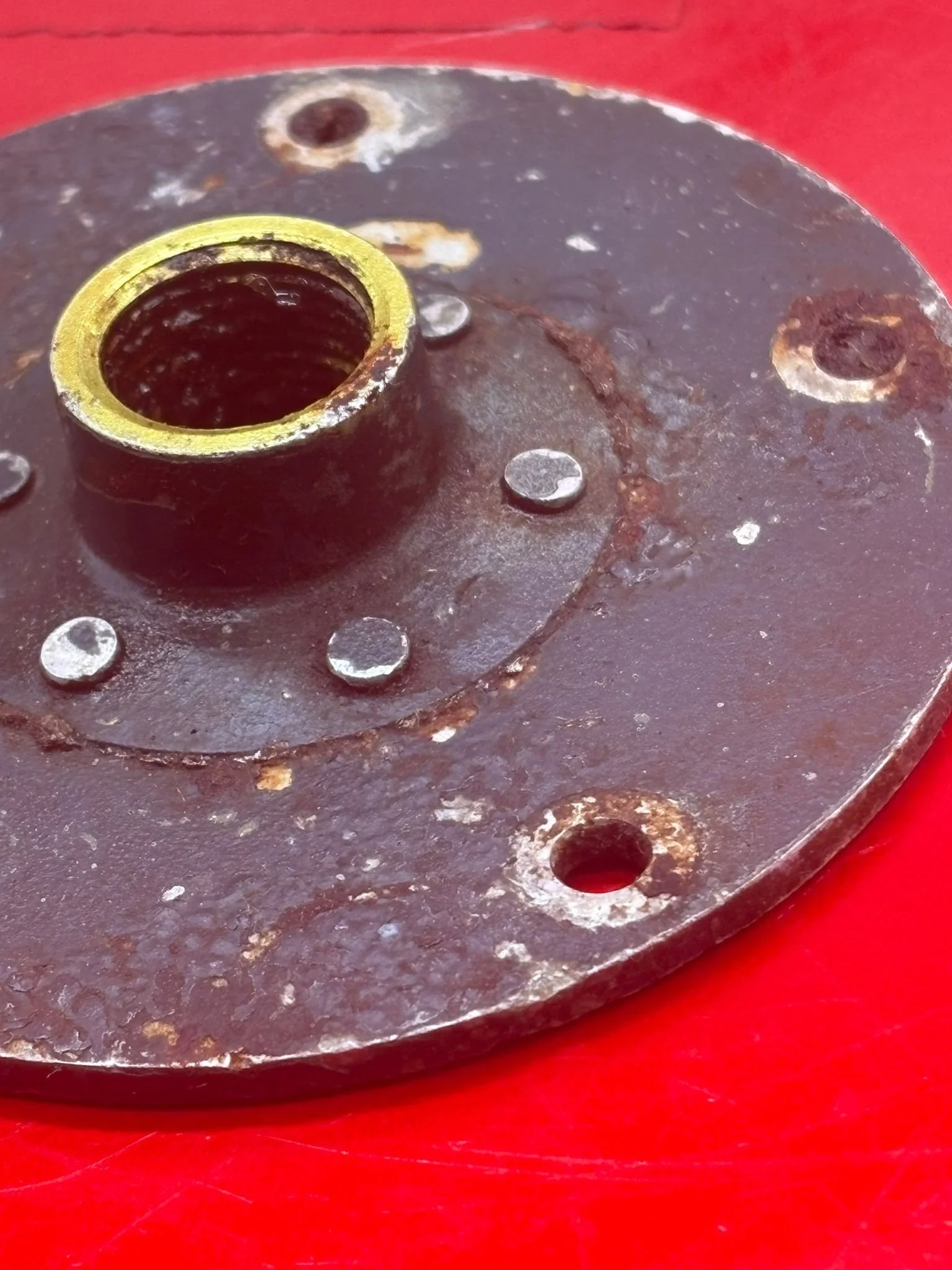 WhatsApp Image 2026-02-13 at 16.32.16 (5).jpeg