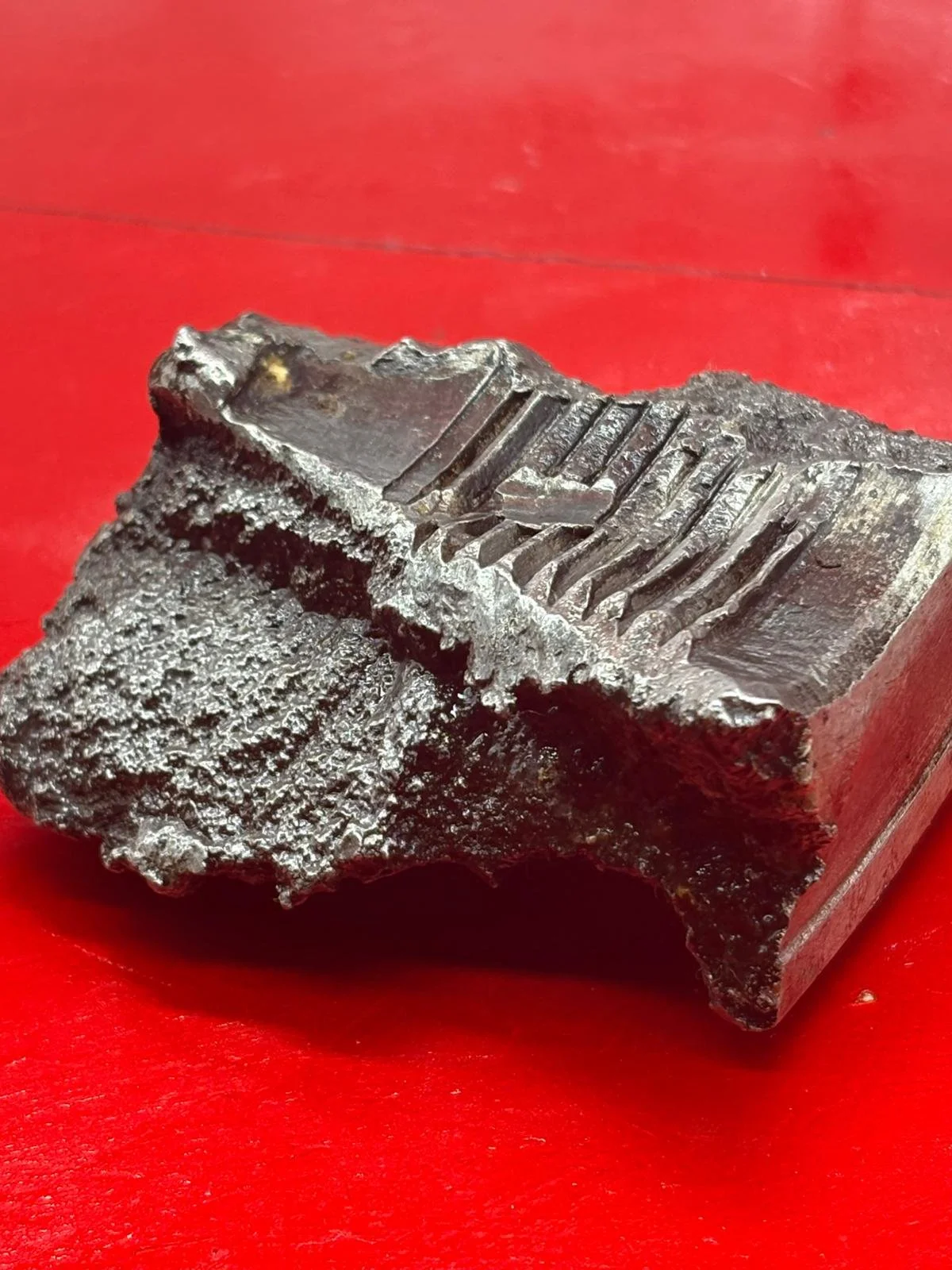 WhatsApp Image 2025-12-09 at 14.14.08 (3).jpeg