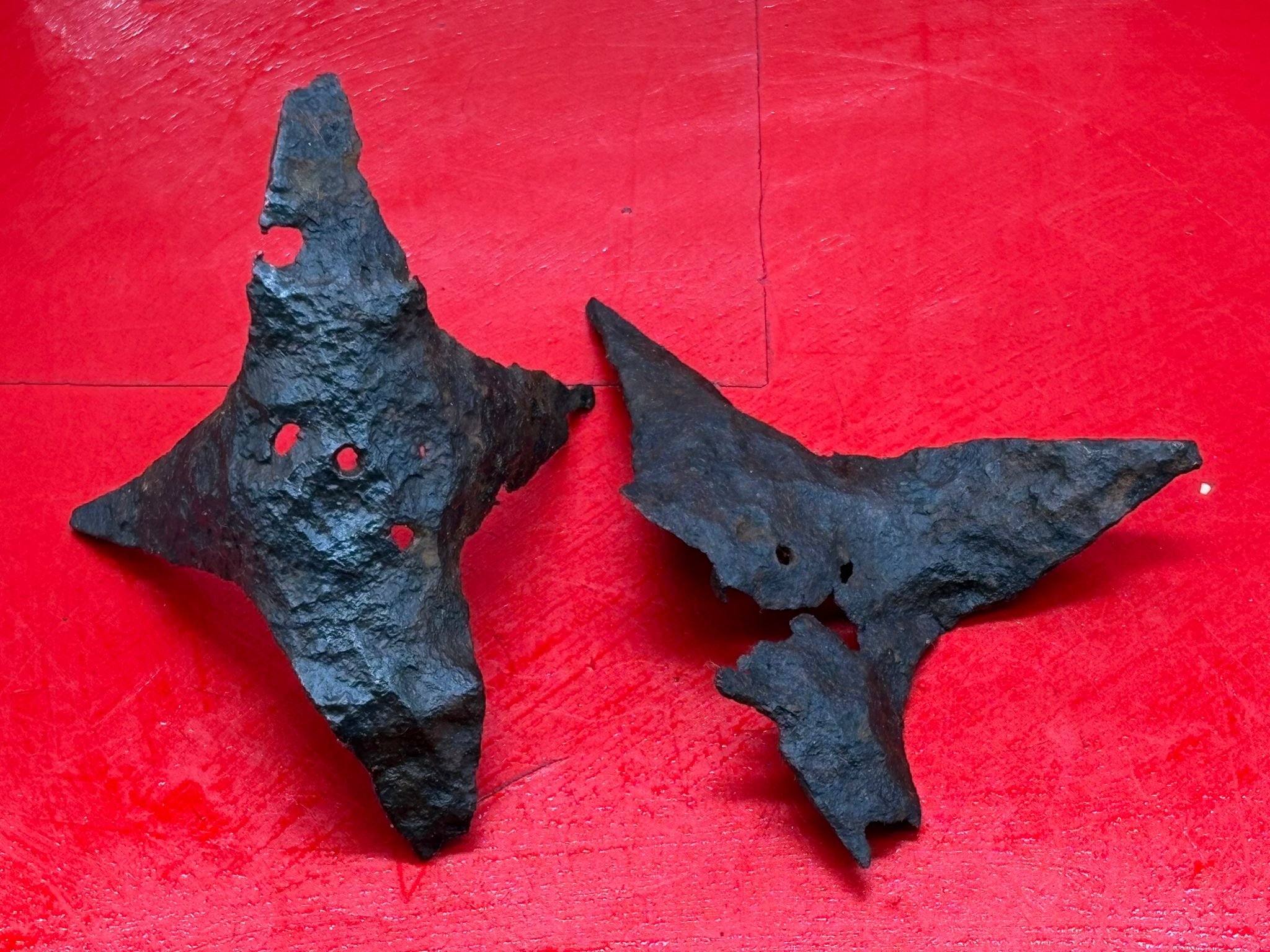 WhatsApp Image 2025-11-12 at 13.14.00 (1).jpeg