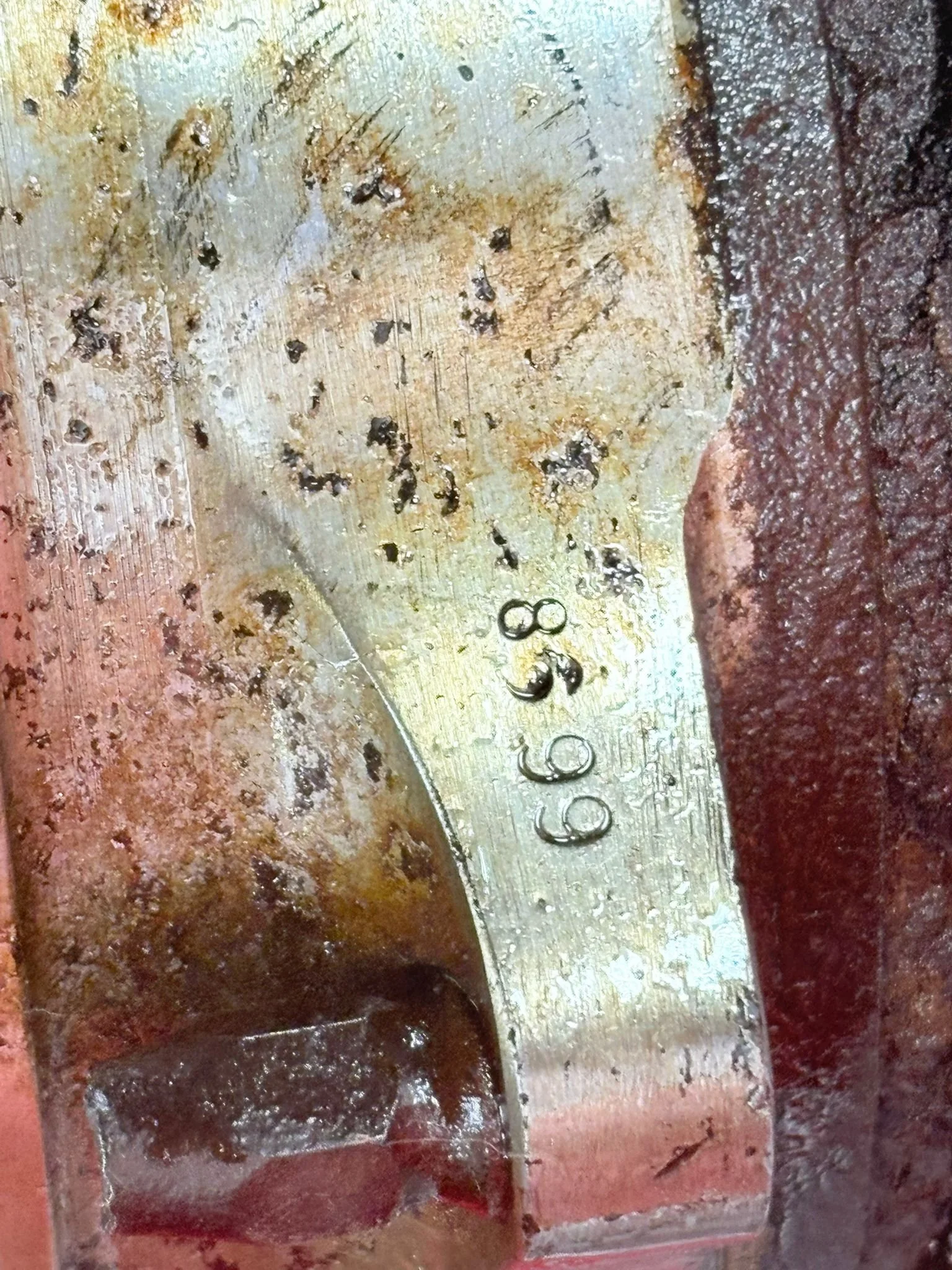 WhatsApp Image 2025-12-08 at 16.52.56 (5).jpeg