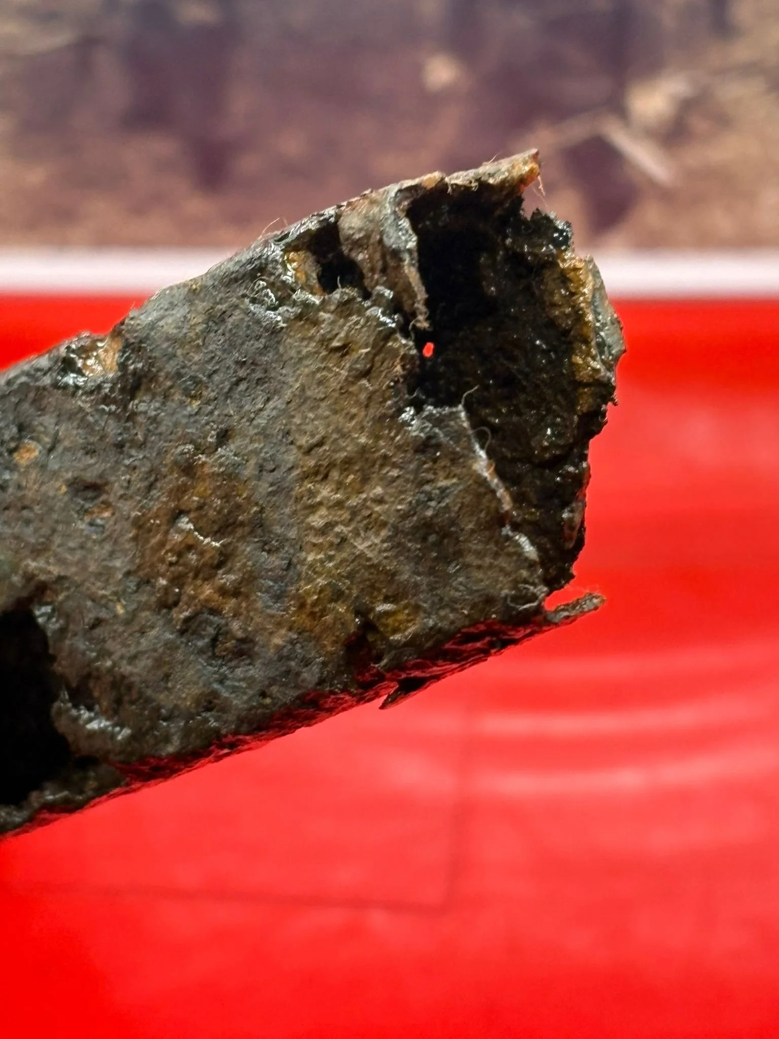 WhatsApp Image 2025-11-24 at 12.48.59 (1).jpeg