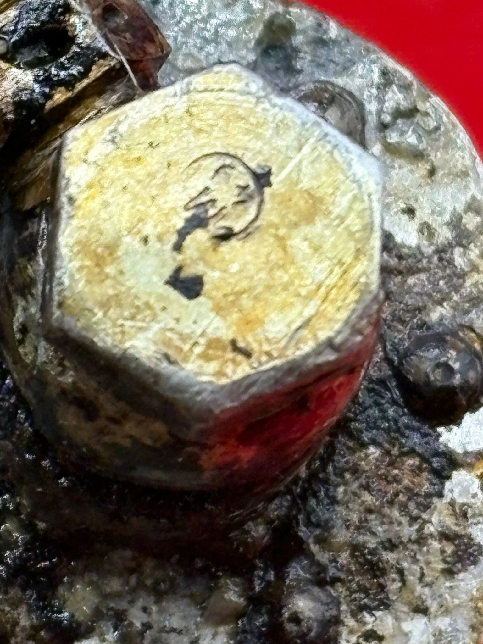 WhatsApp Image 2026-02-10 at 12.08.39 (3).jpeg