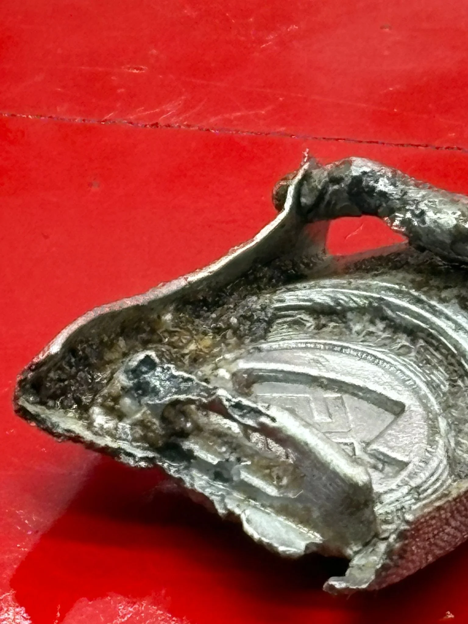 WhatsApp Image 2025-11-24 at 12.47.27 (1).jpeg