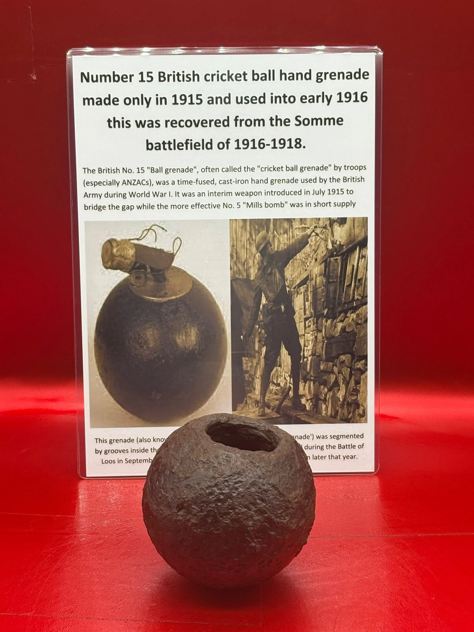 WhatsApp Image 2025-11-16 at 16.09.27.jpeg